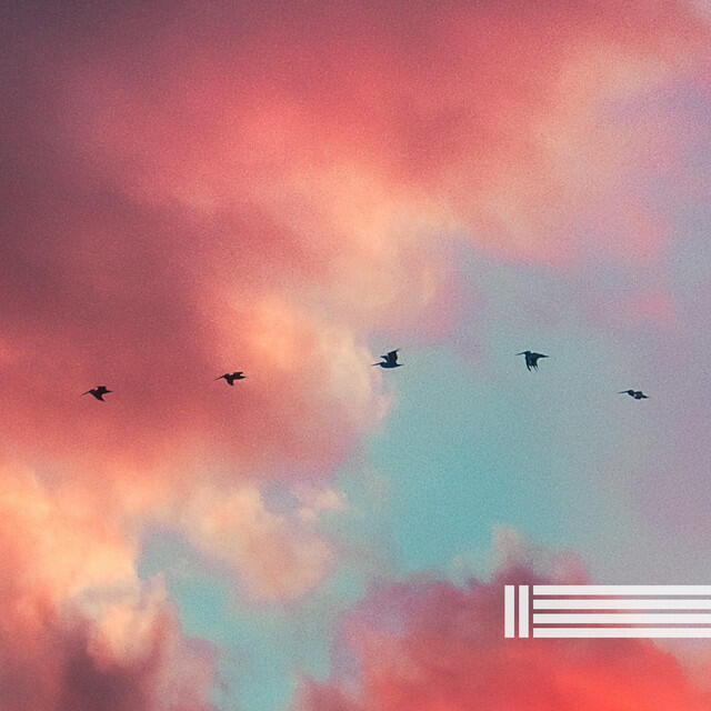 Релиз Sounds Of Birds And Forest