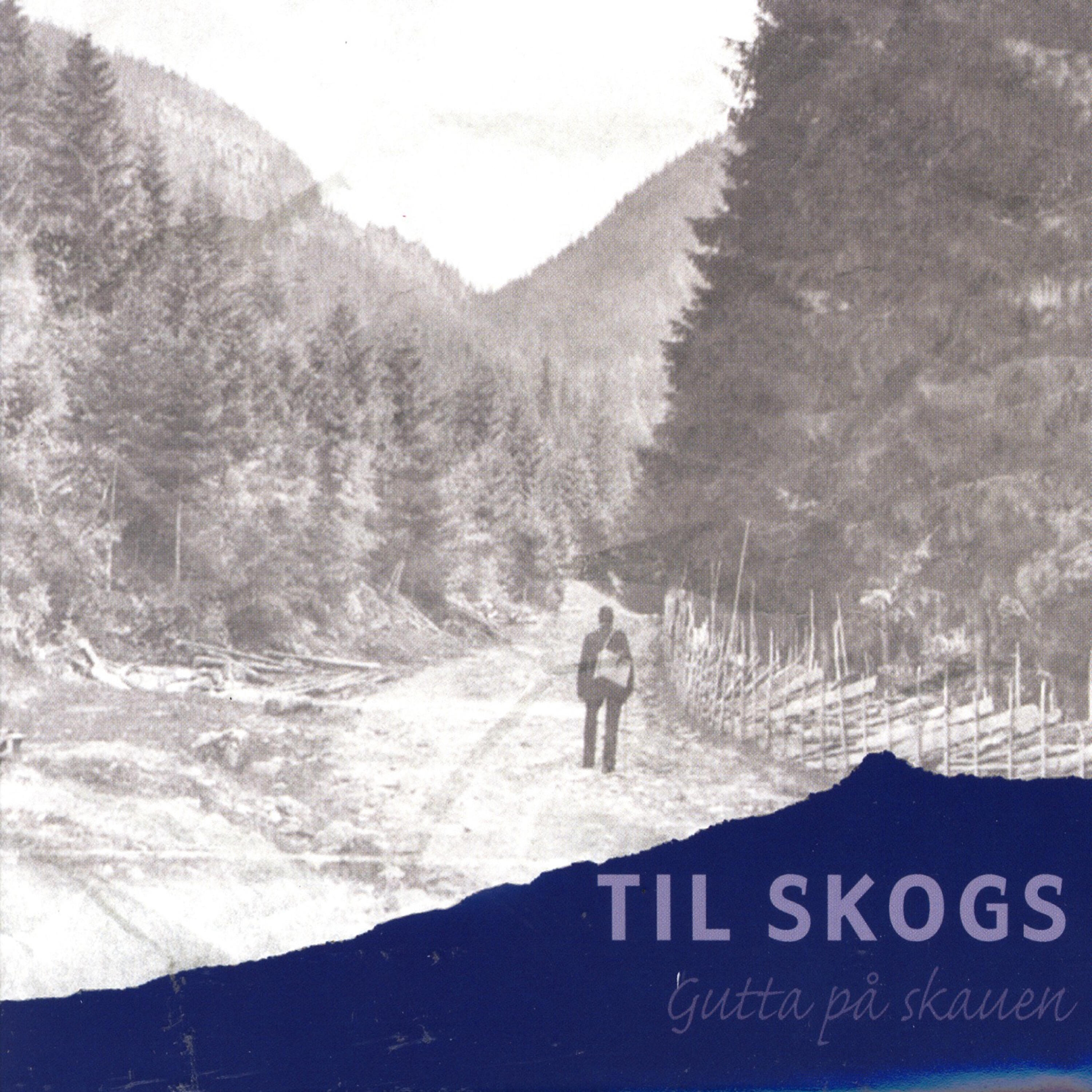 Релиз Til Skogs