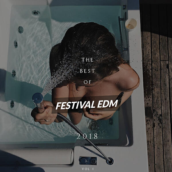 Релиз The Best of Festival EDM 2018