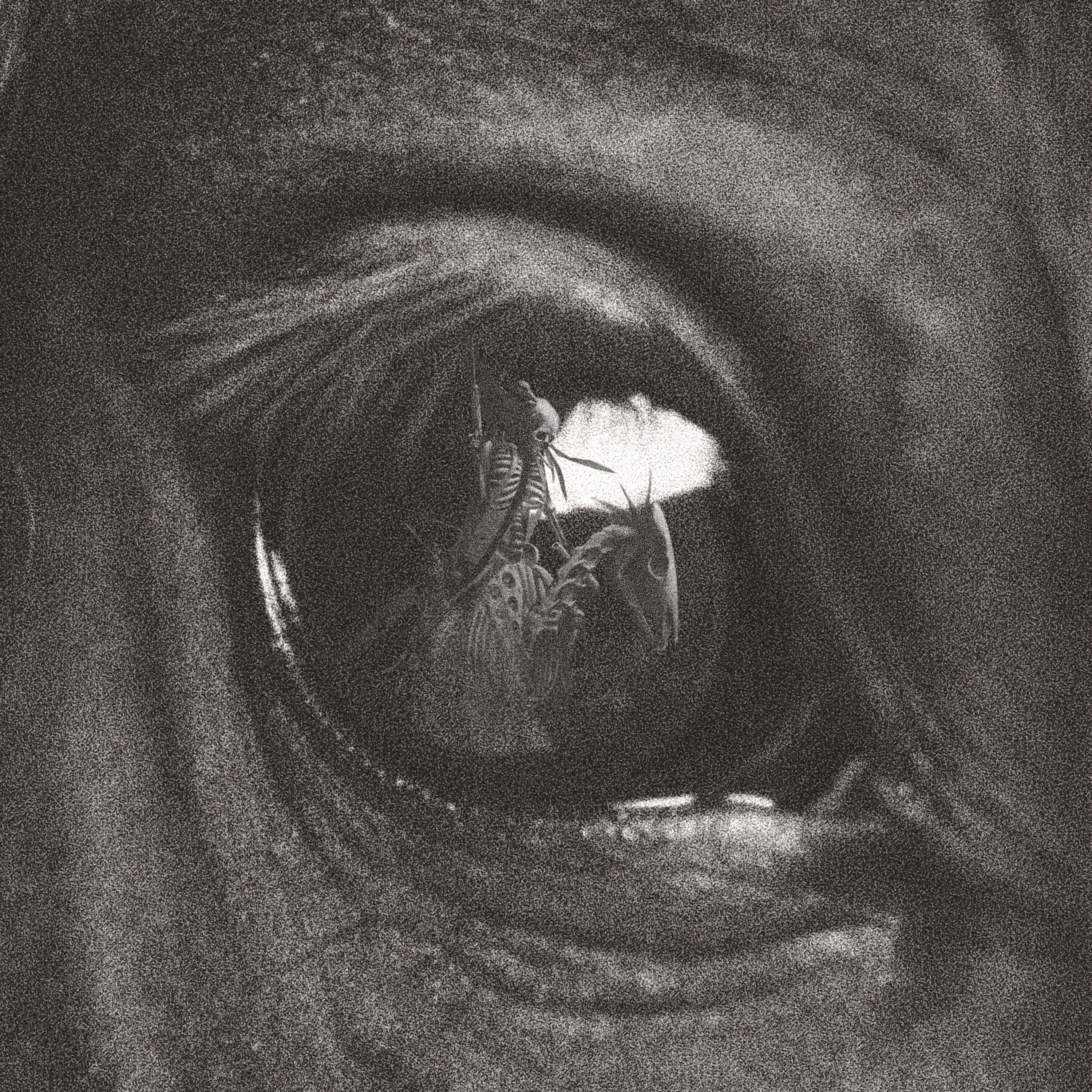 Elo, Htn - Fast ein Freund