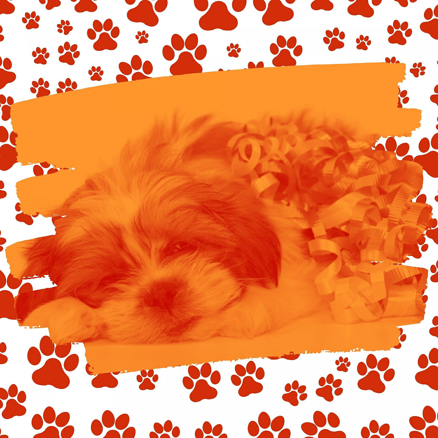 Релиз Classic Guitar Music - Background for Doggy Naptime