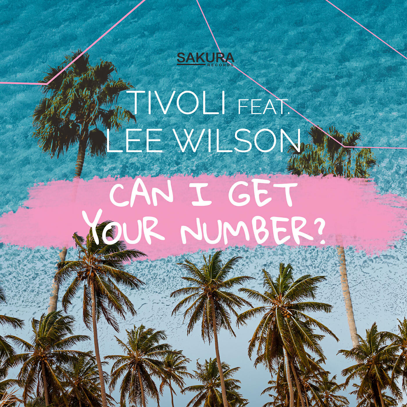 Релиз Can I Get Your Number? (feat. Lee Wilson)