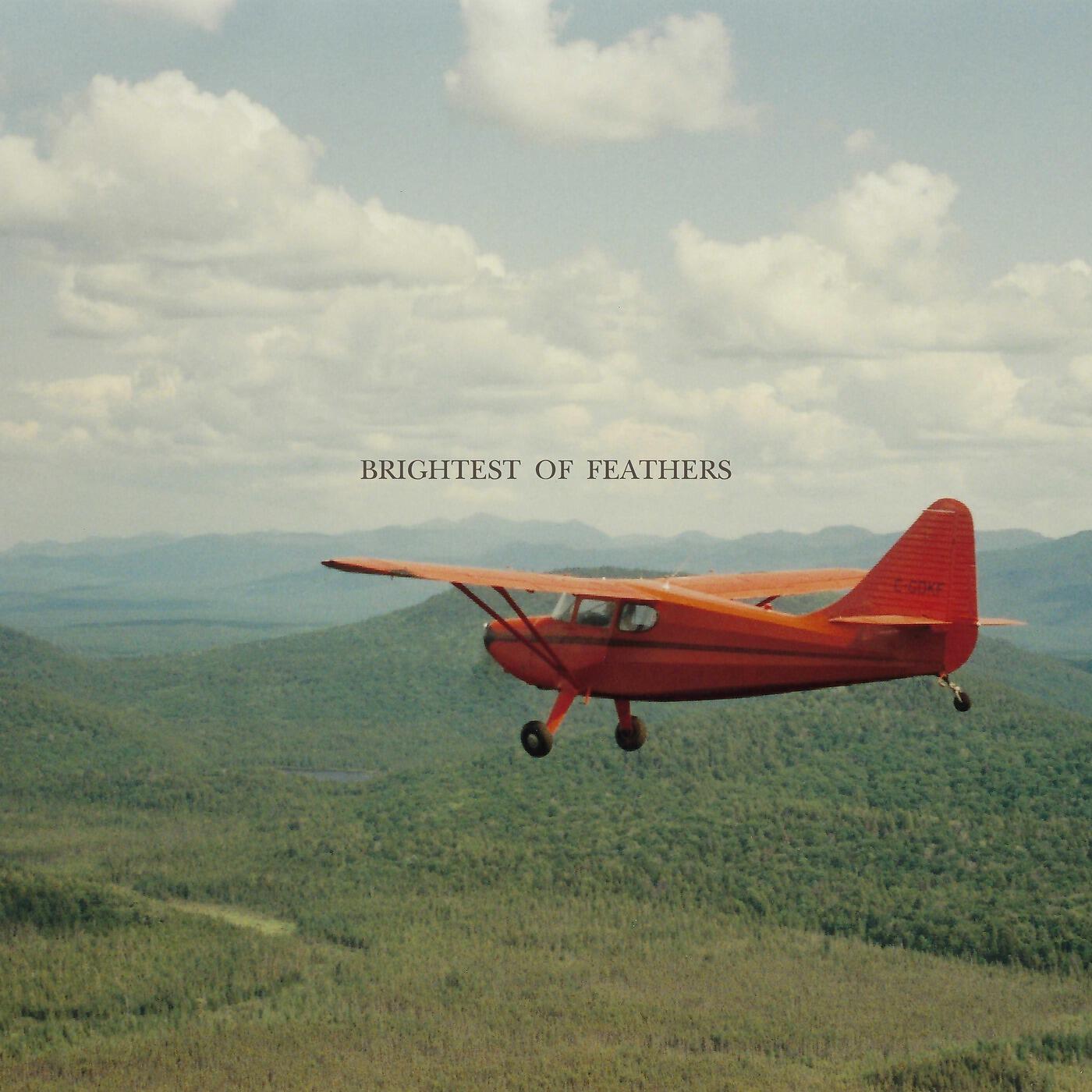 Релиз Brightest of Feathers