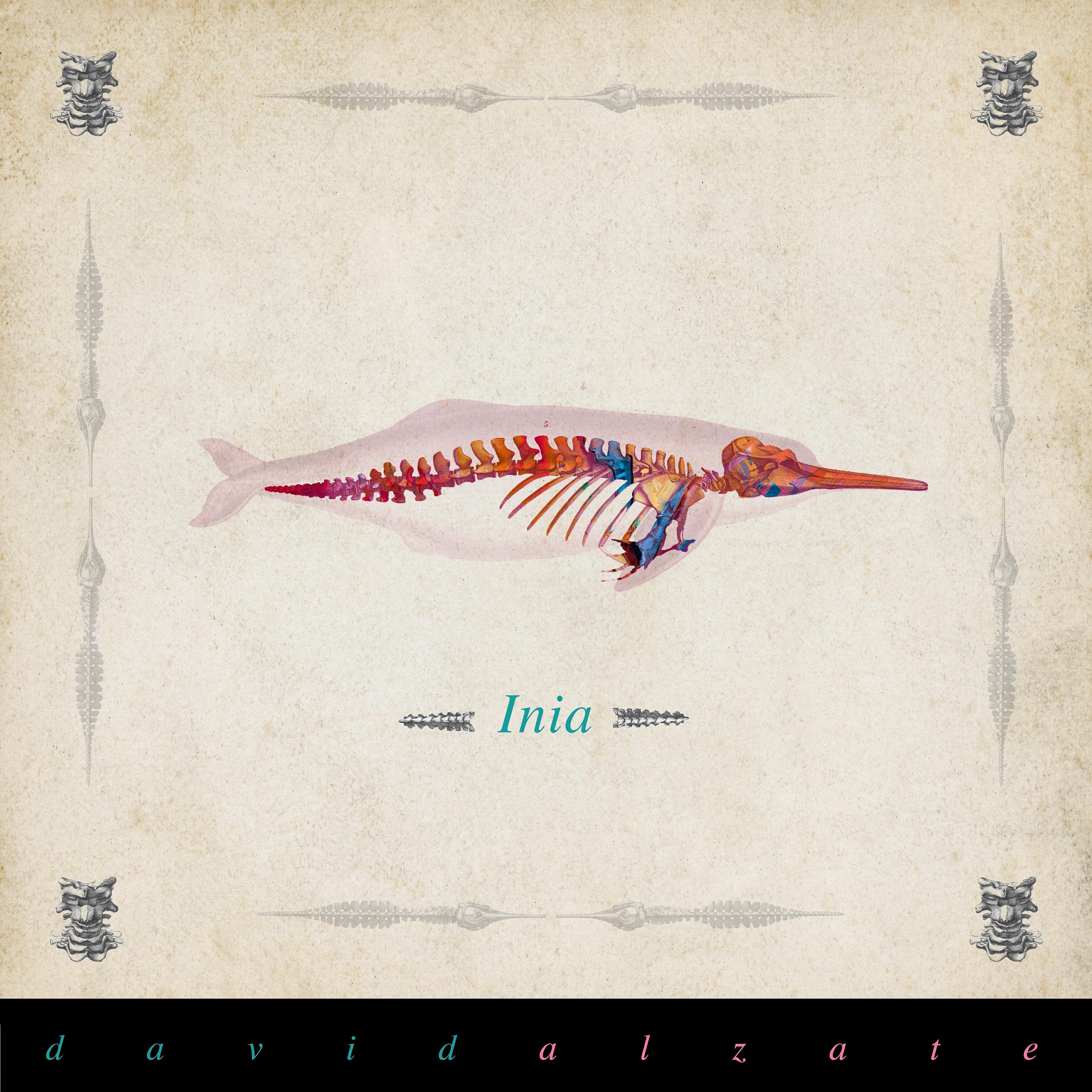 Релиз Inia