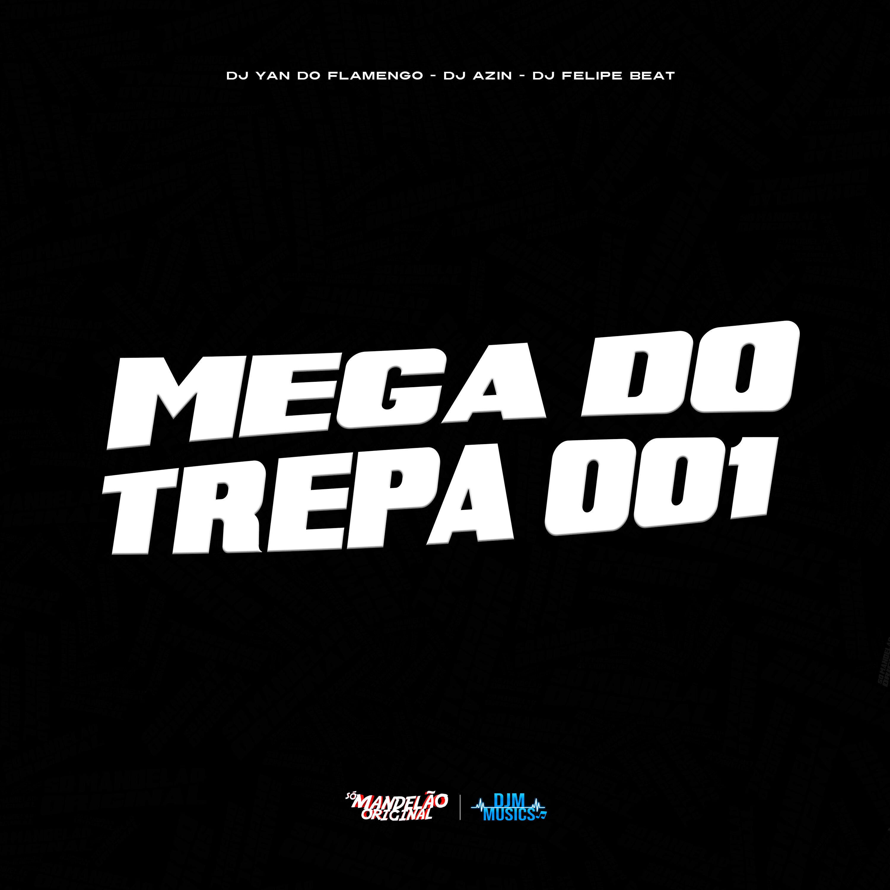 Скачать песню DJ YAN DO FLAMENGO, DJ AZIN, DJ Felipe Beat - Mega do Trepa 001 бесплатно в MP3 для Android и iOS