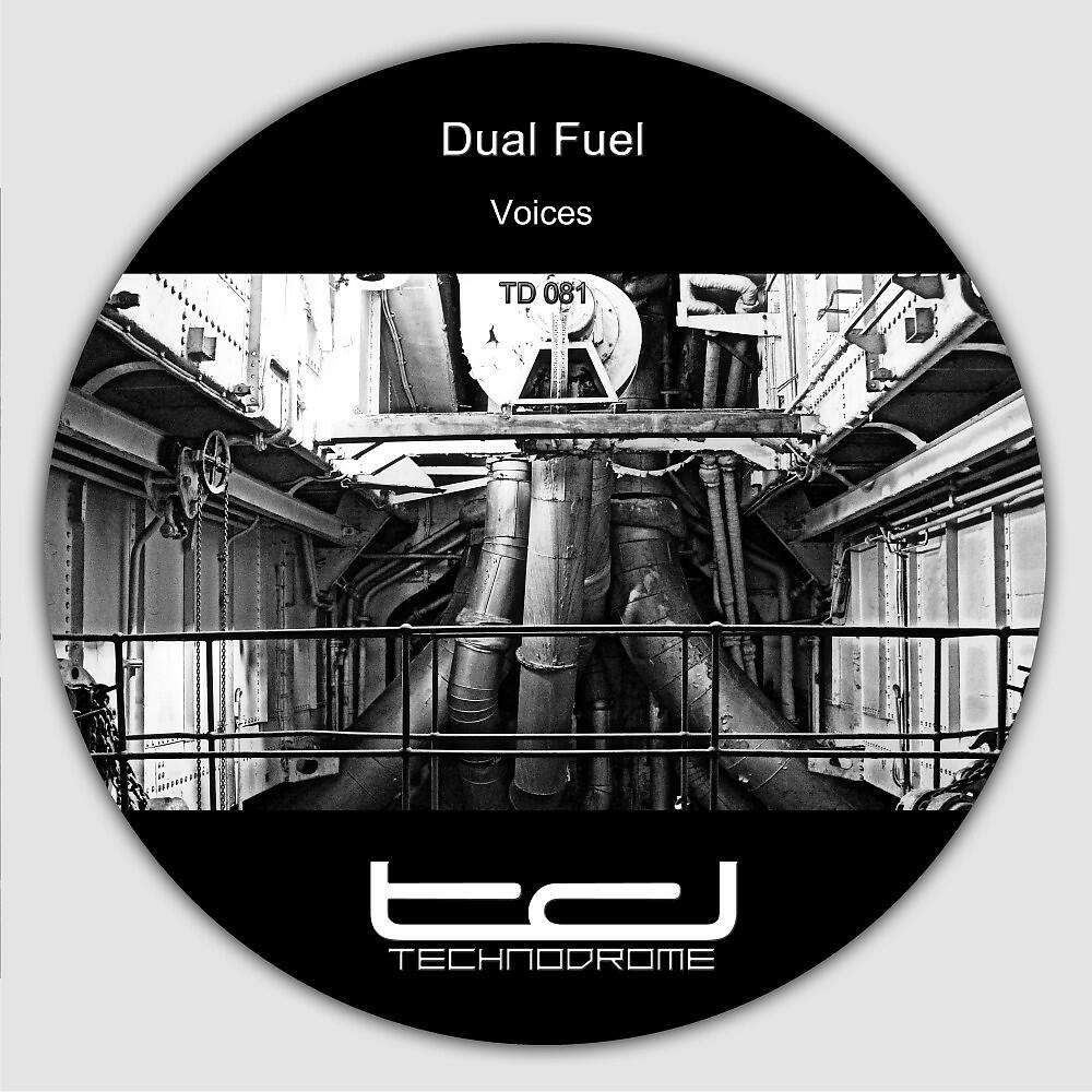 Релиз Voices