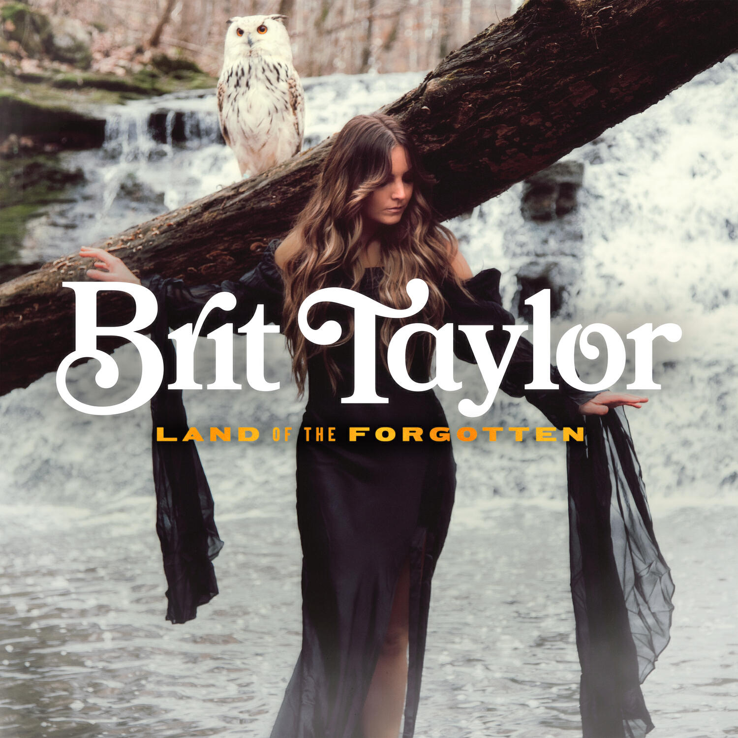 Релиз Land Of The Forgotten