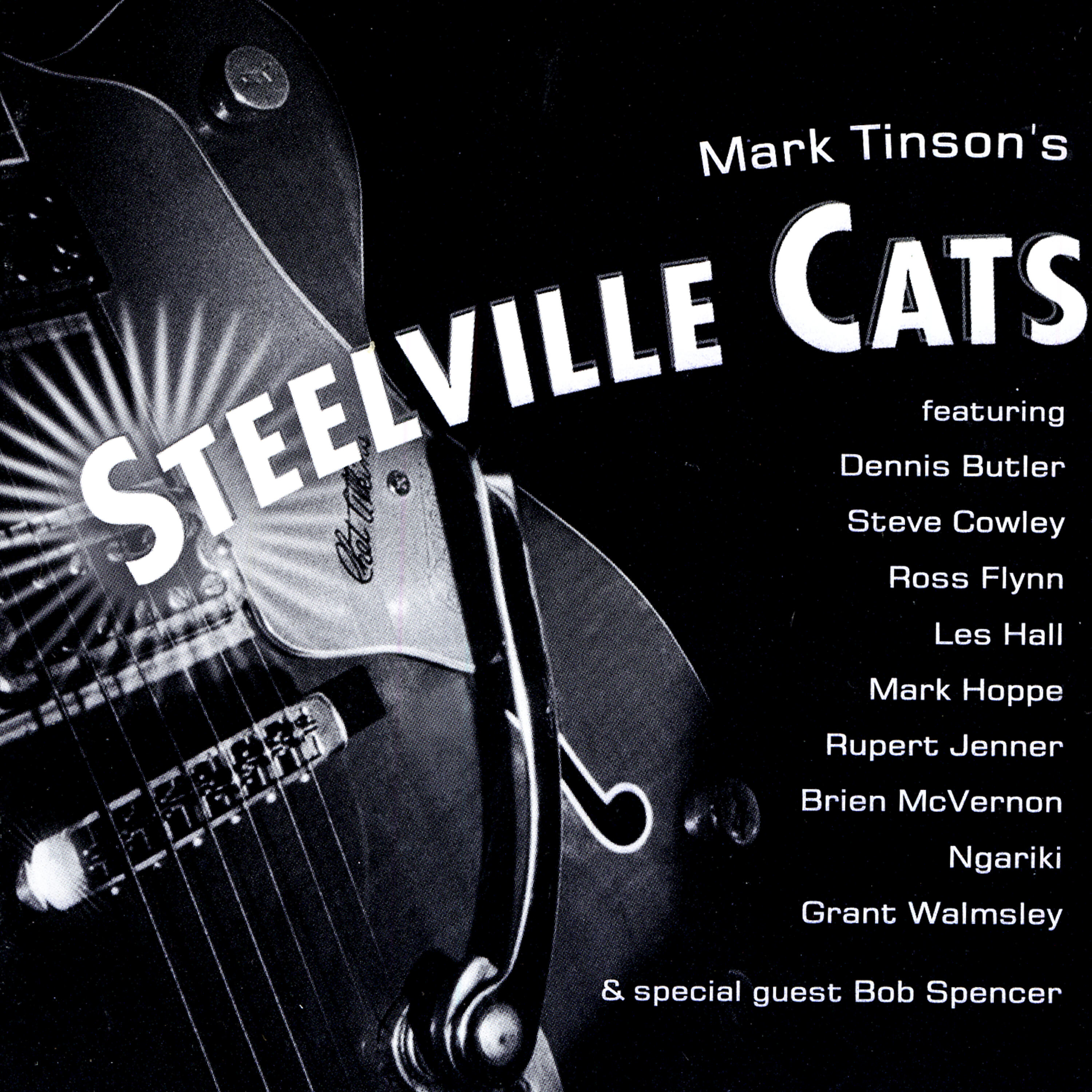Mark Tinson's Steelville Cats
