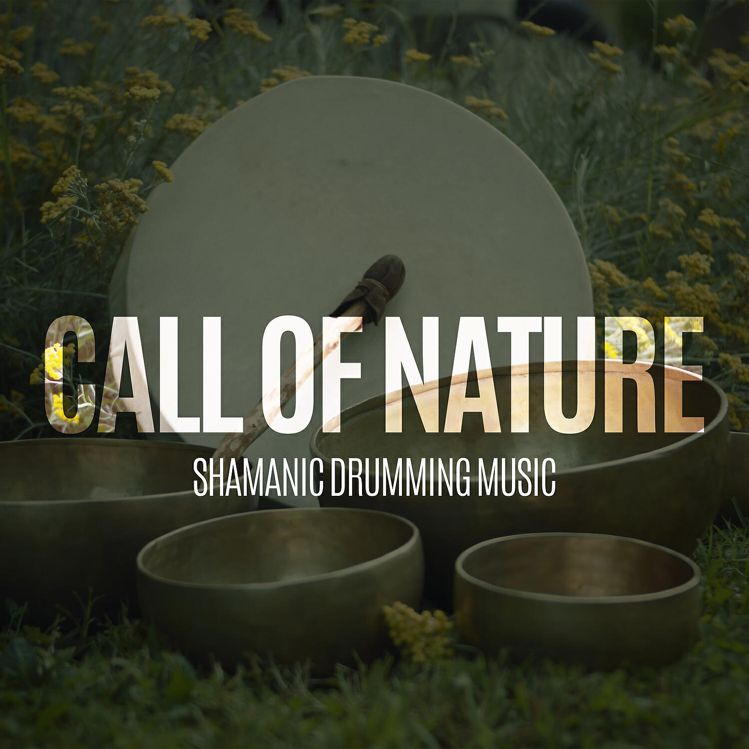 Релиз Call of Nature. Shamanic Drumming Music for Meditation & Spiritual Retreat, Stress Relief, Soothing New Age Background Music