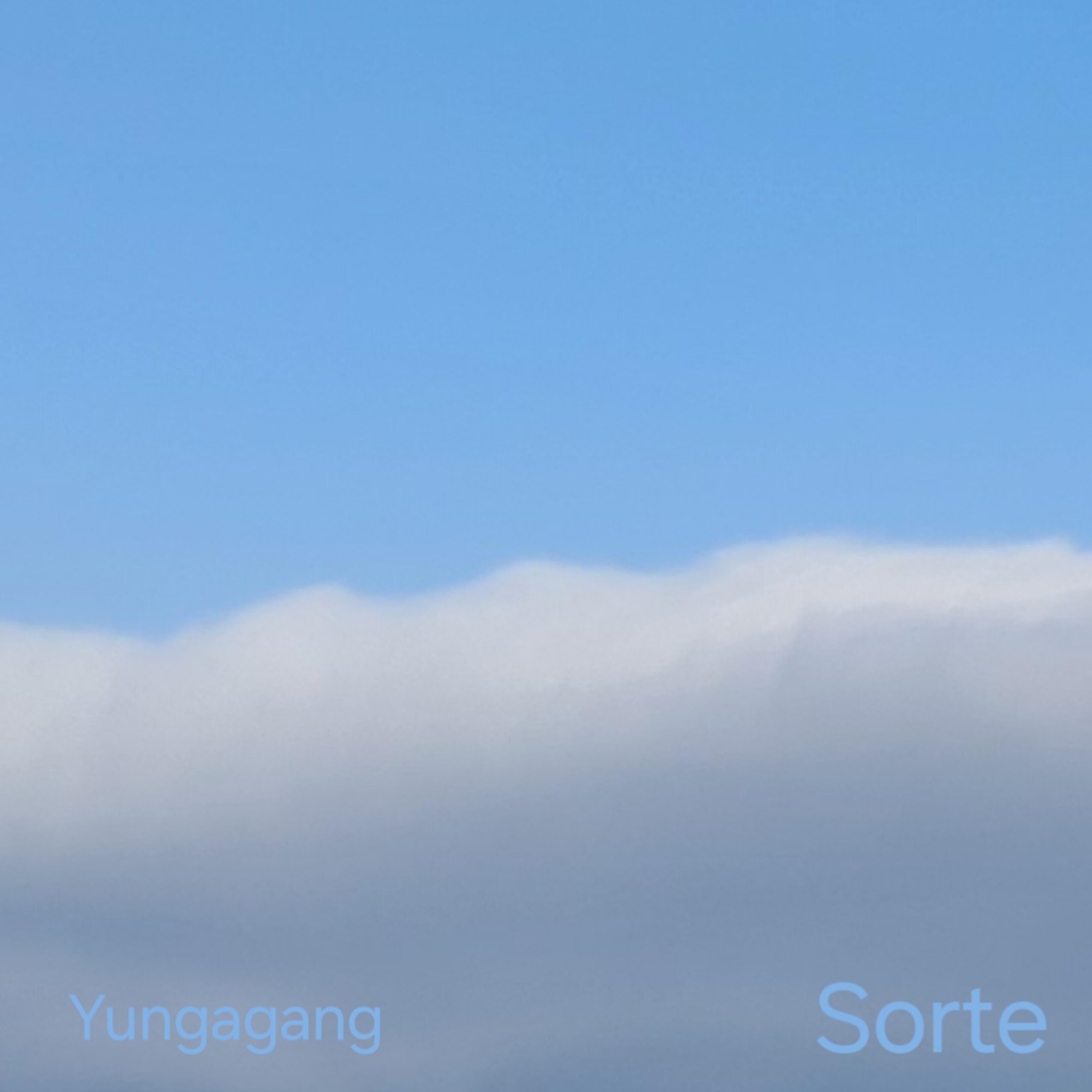 Релиз Sorte