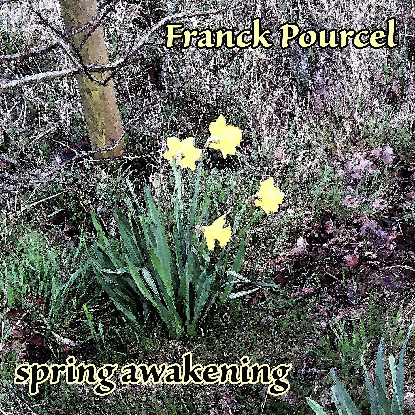 Релиз Spring Awakening