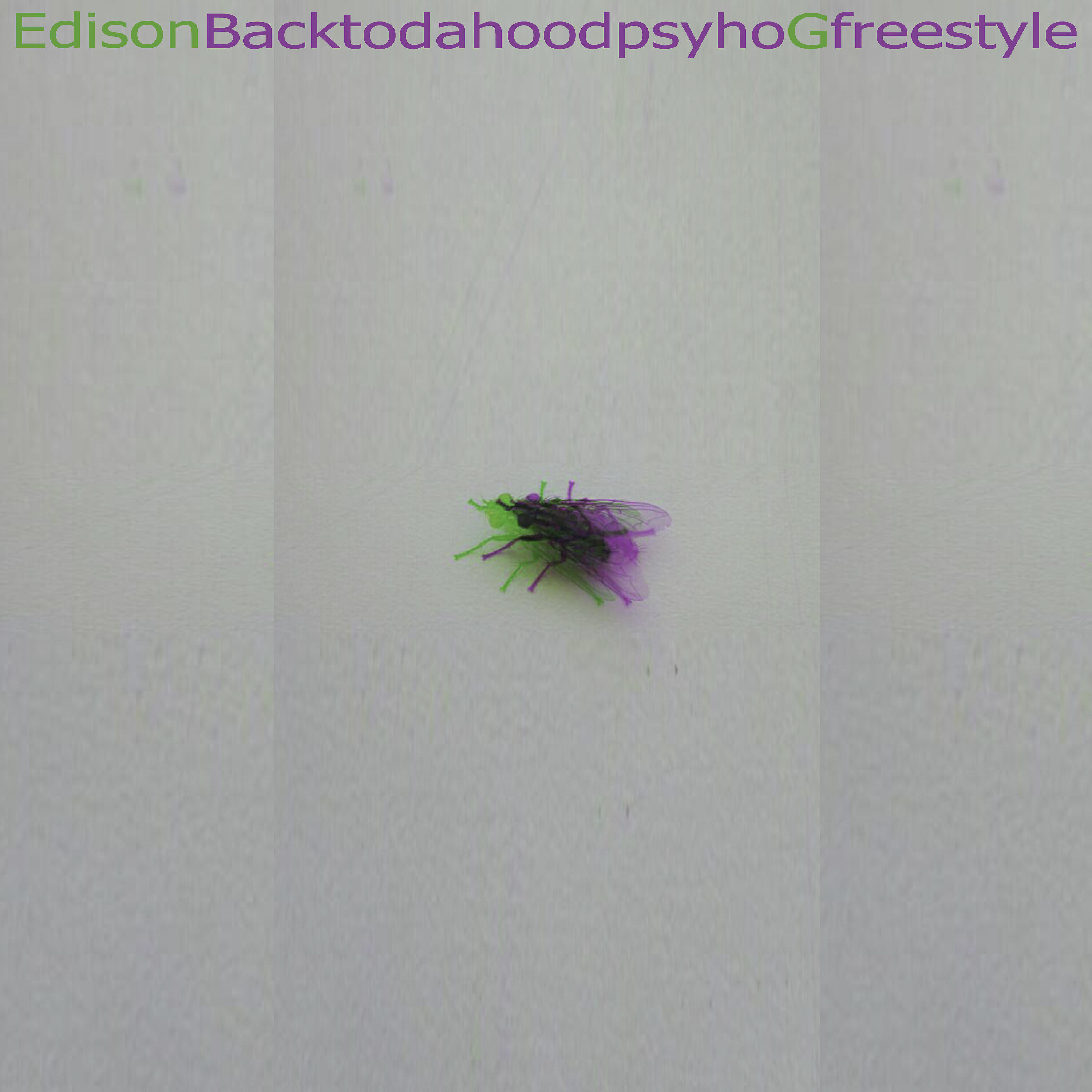 Релиз Backtodahoodpsyhogfreestyle
