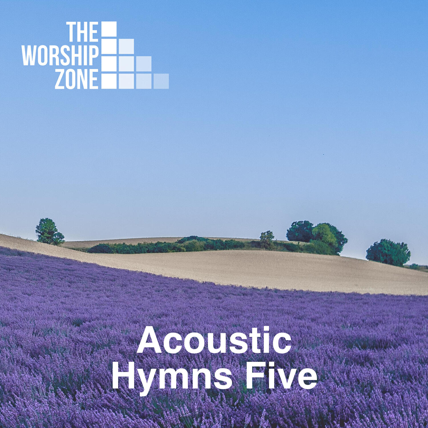 Релиз Acoustic Hymns 5