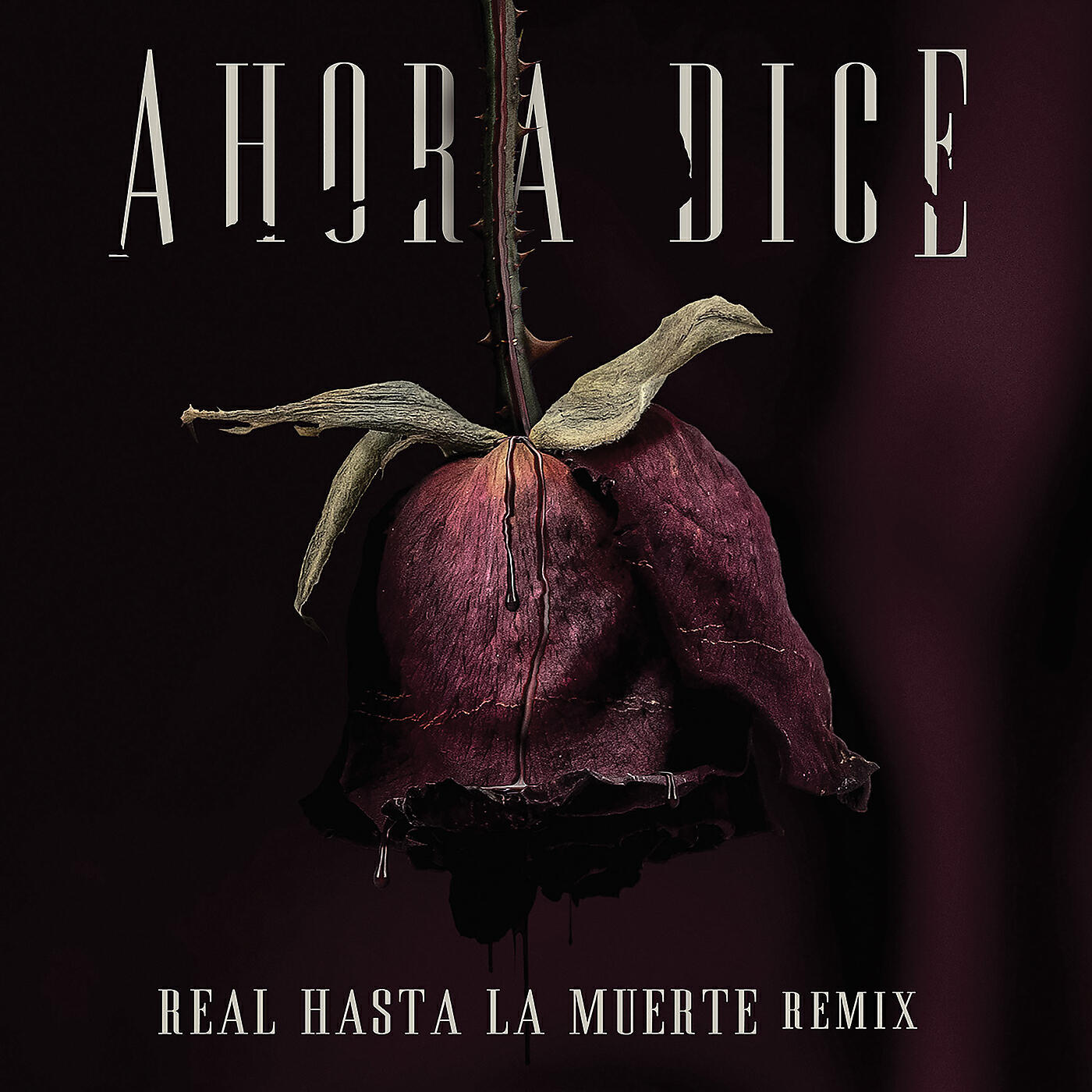 Релиз Ahora Dice