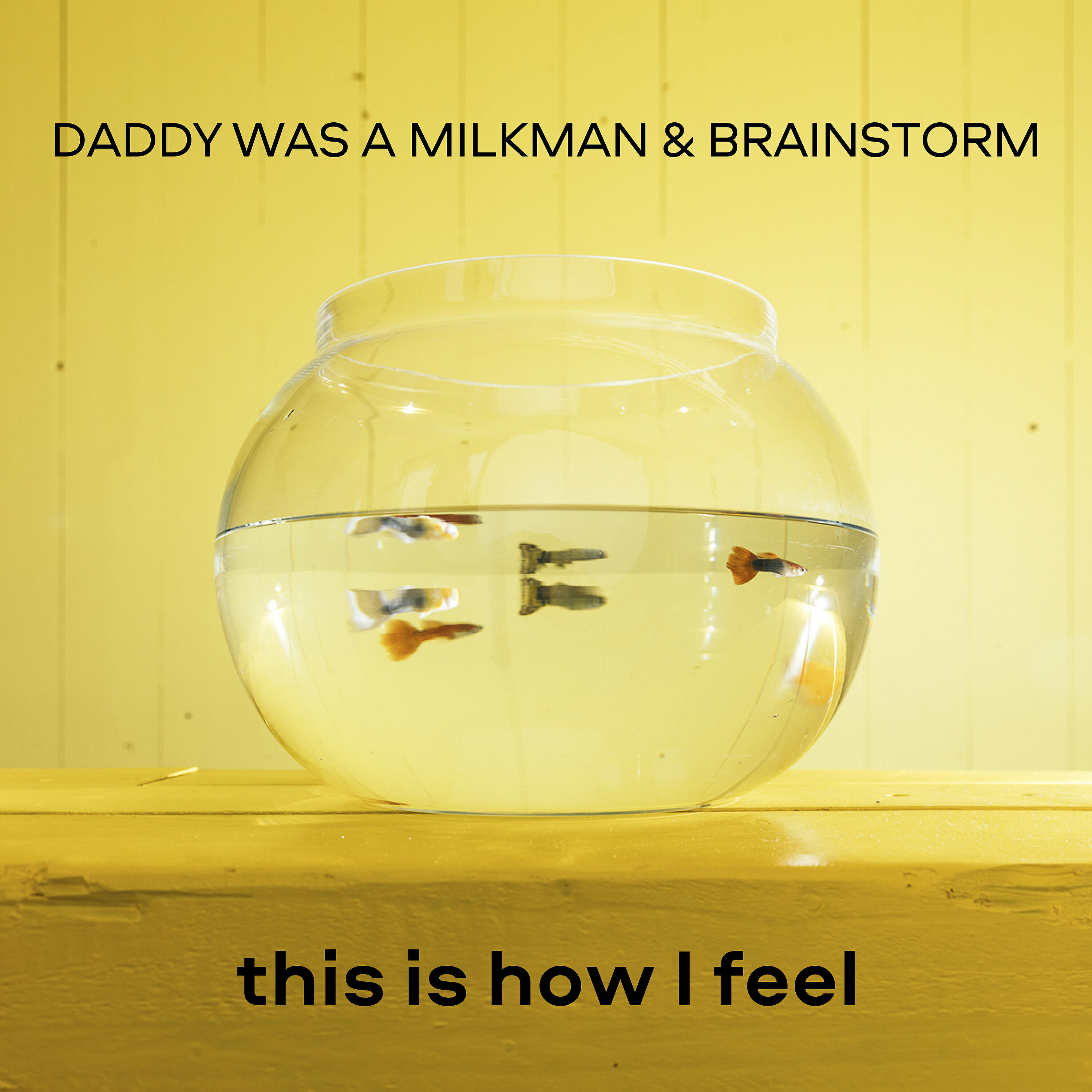 Релиз This Is How I Feel