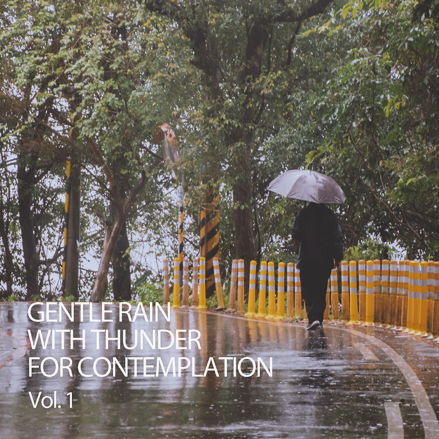 Релиз Gentle Rain With Thunder For Contemplation Vol. 1