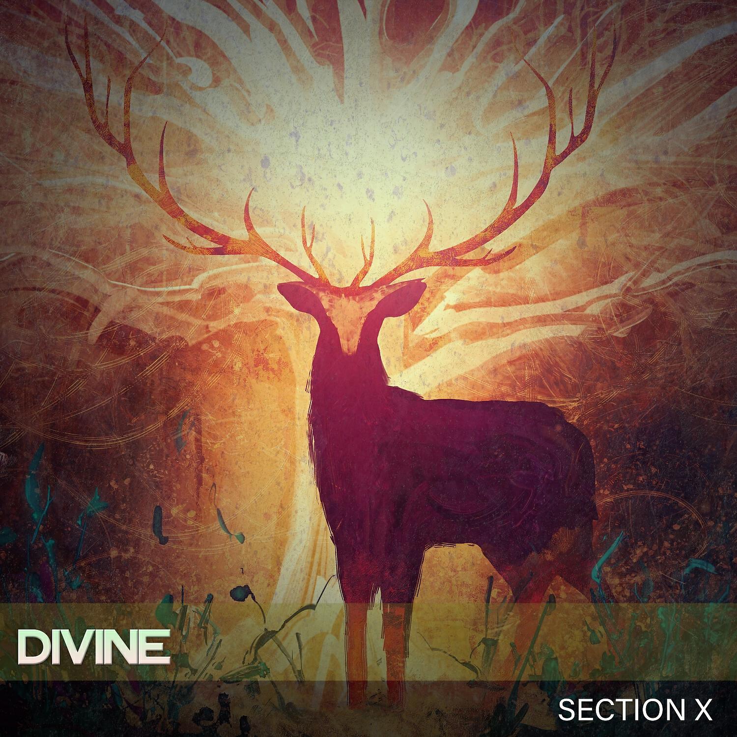 Релиз Divine