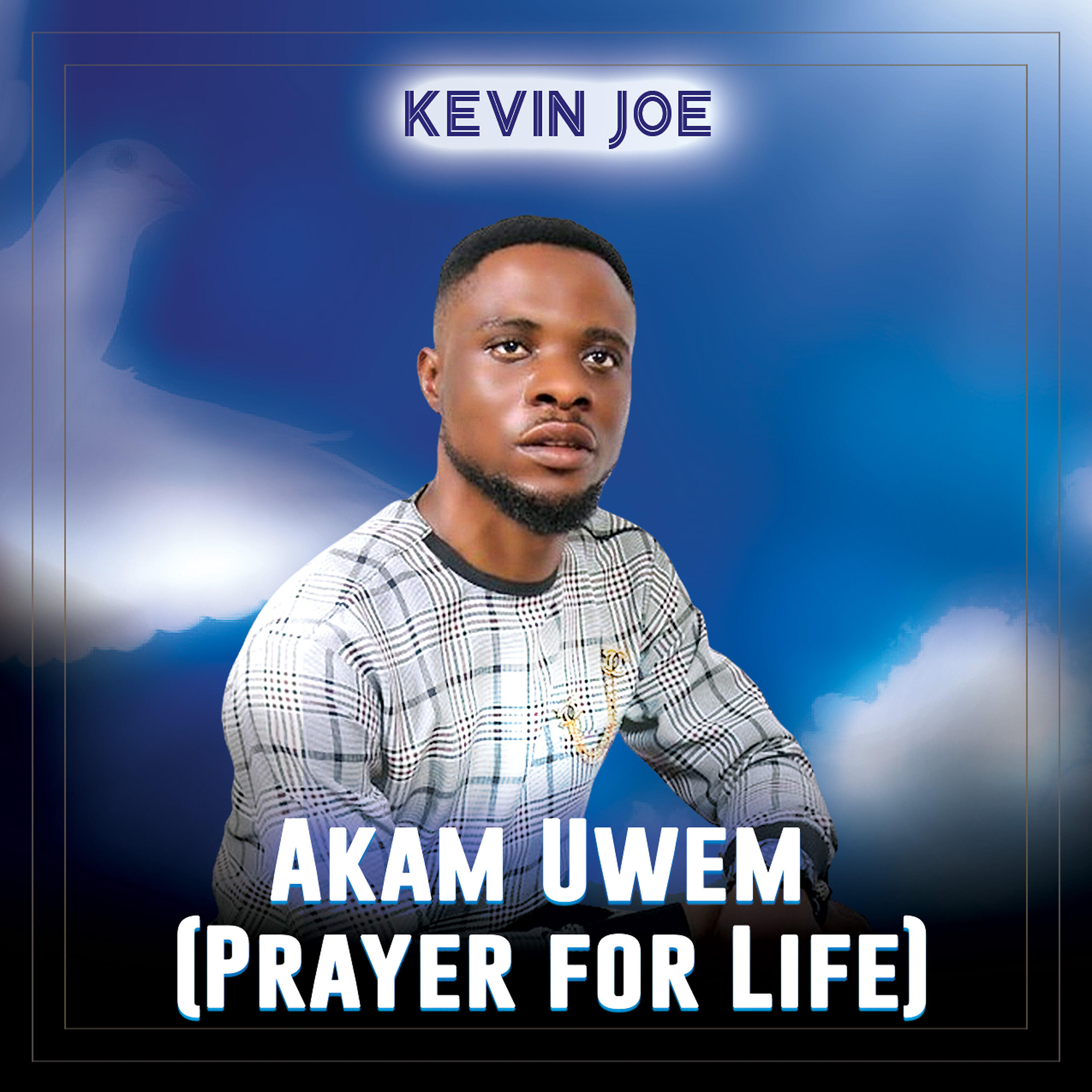 Kevin joe