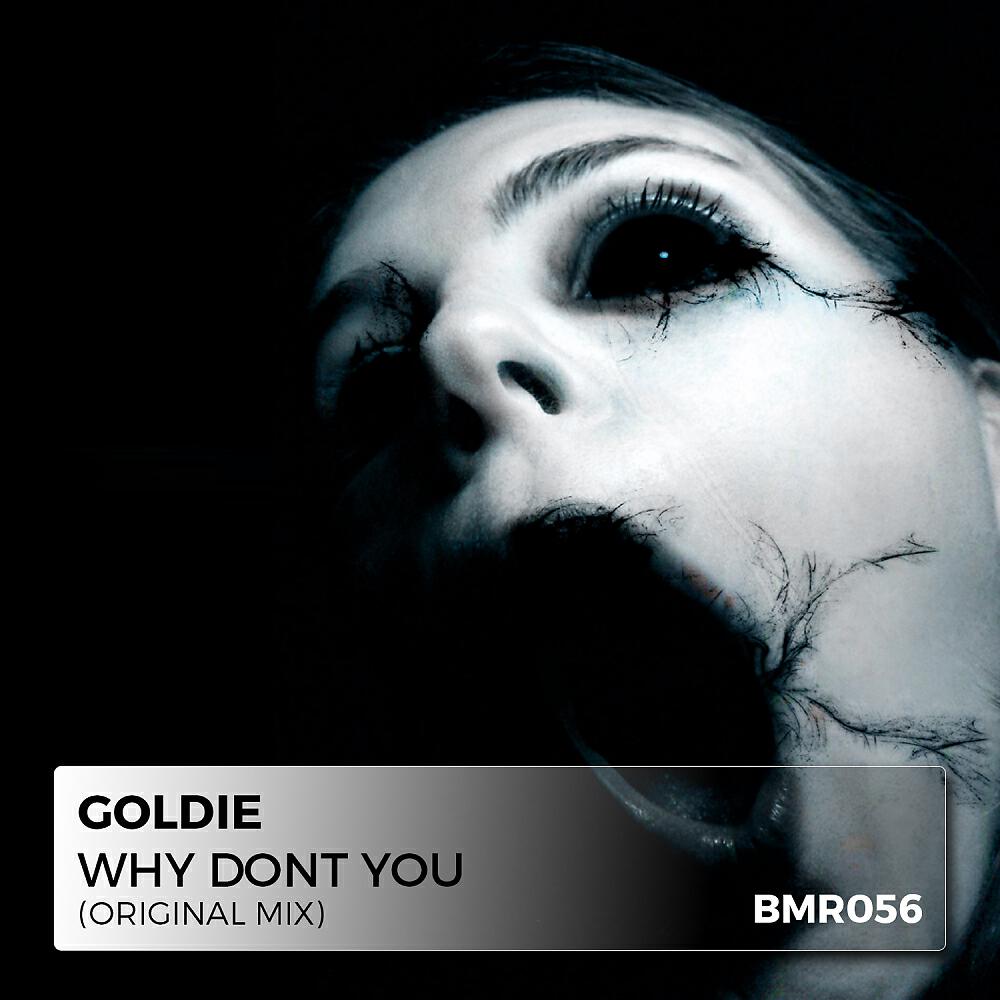 Релиз Why Don't You