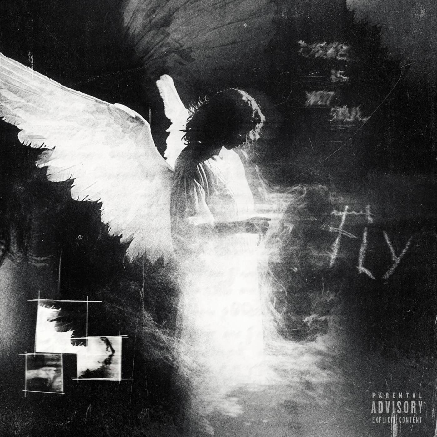 Релиз FLY