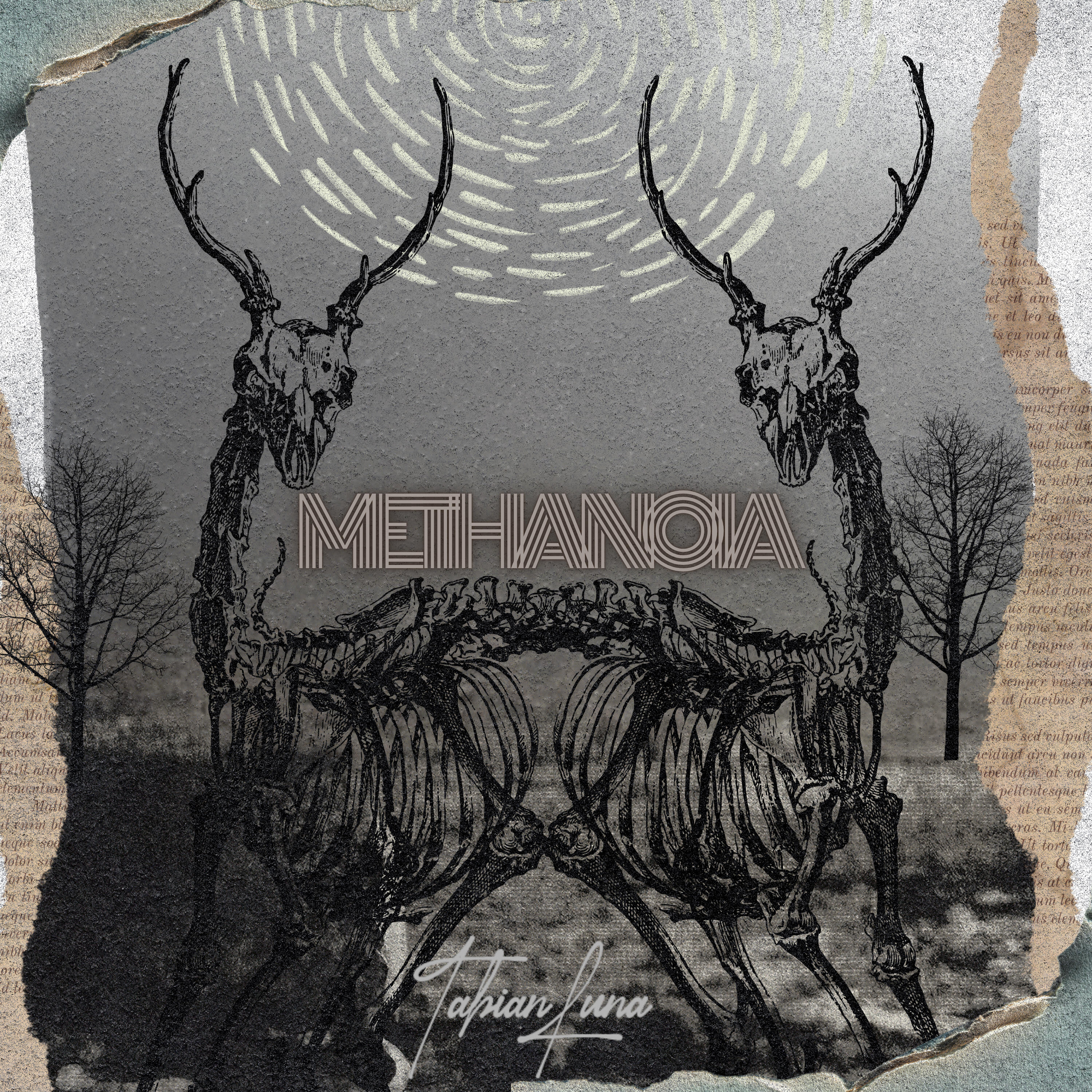 Релиз Methanoia