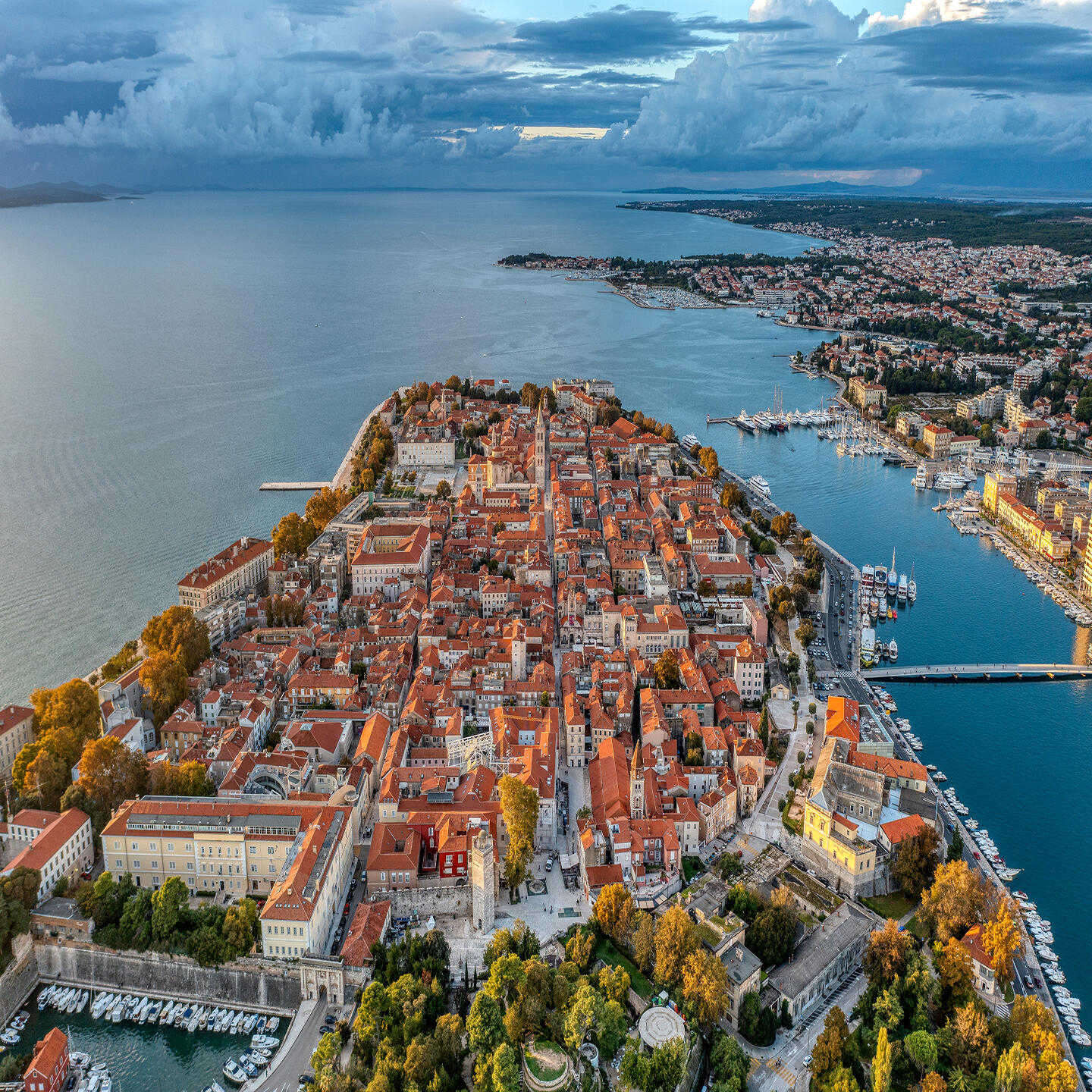 Релиз Zadar zauvik