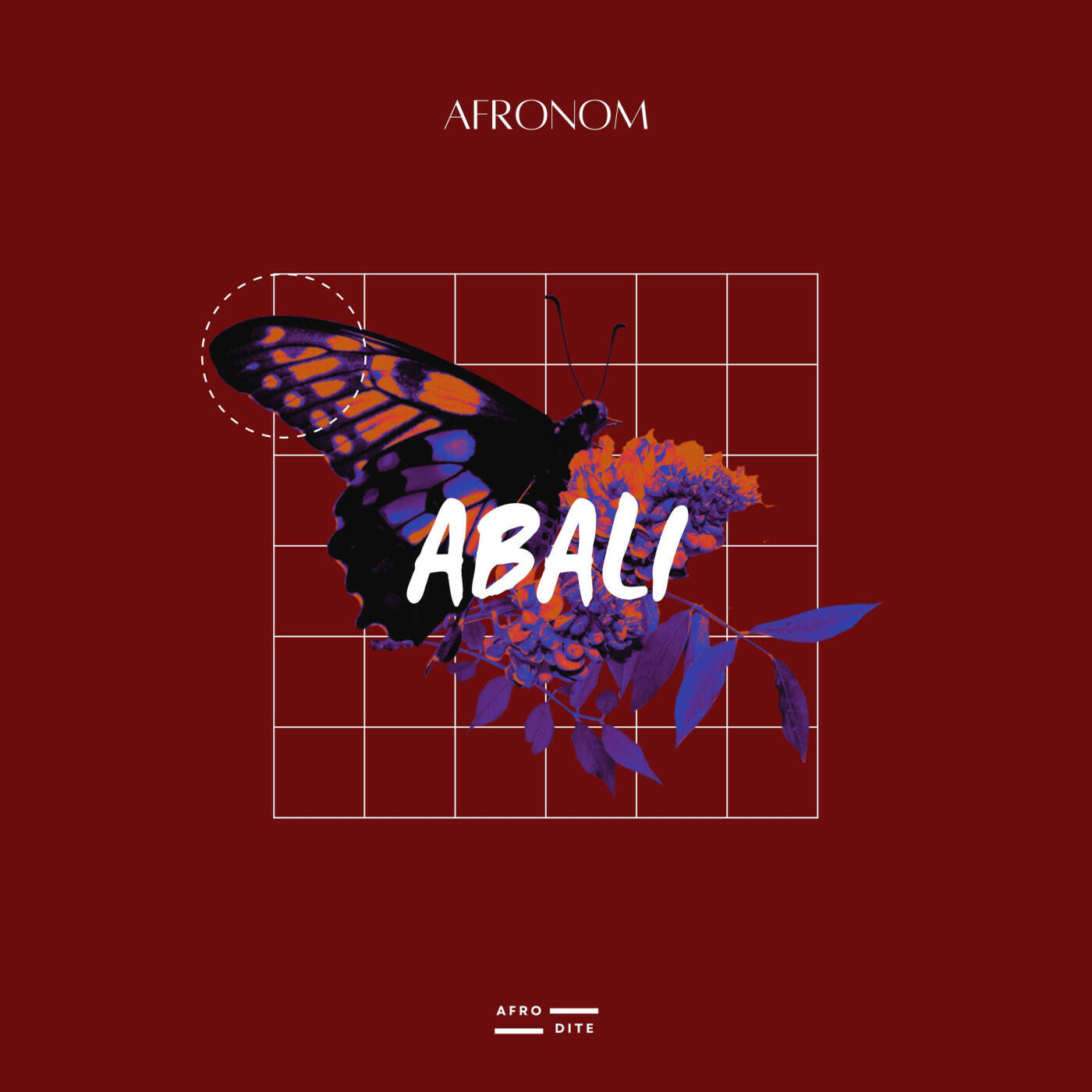 Релиз Abali