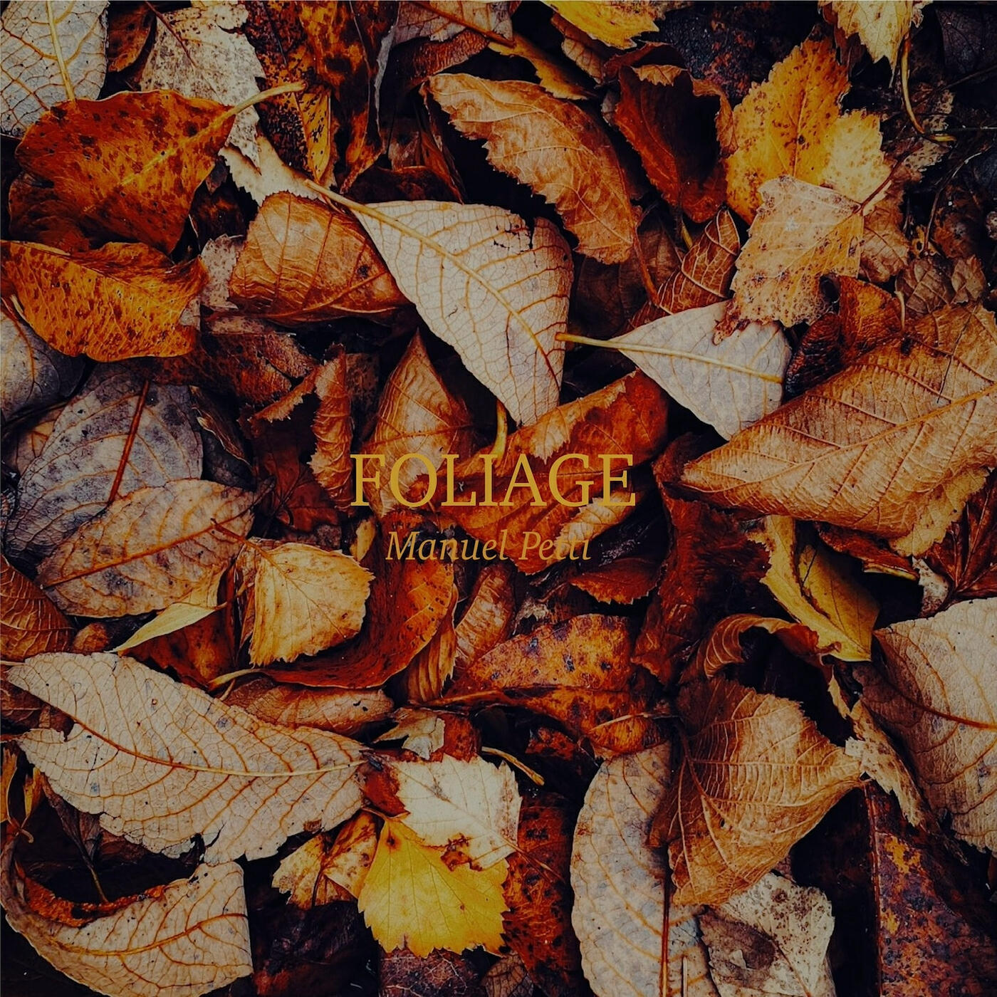 Релиз FOLIAGE