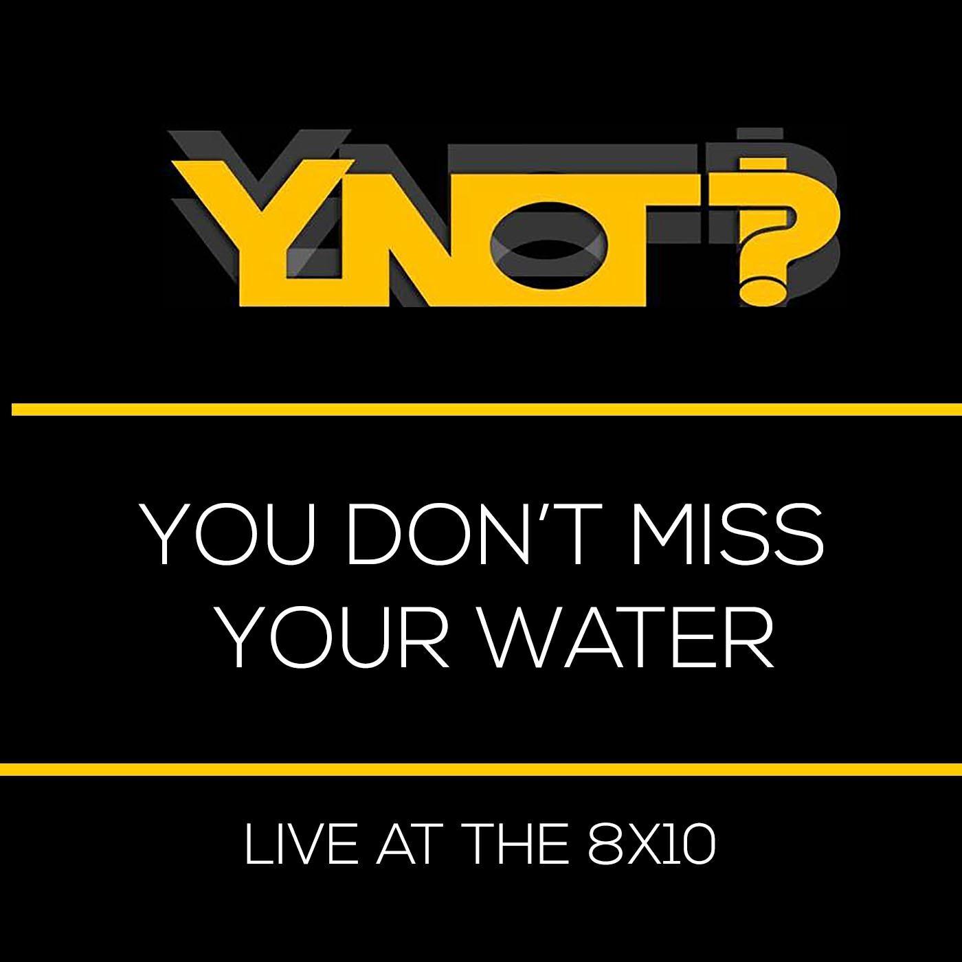 Ynot?!