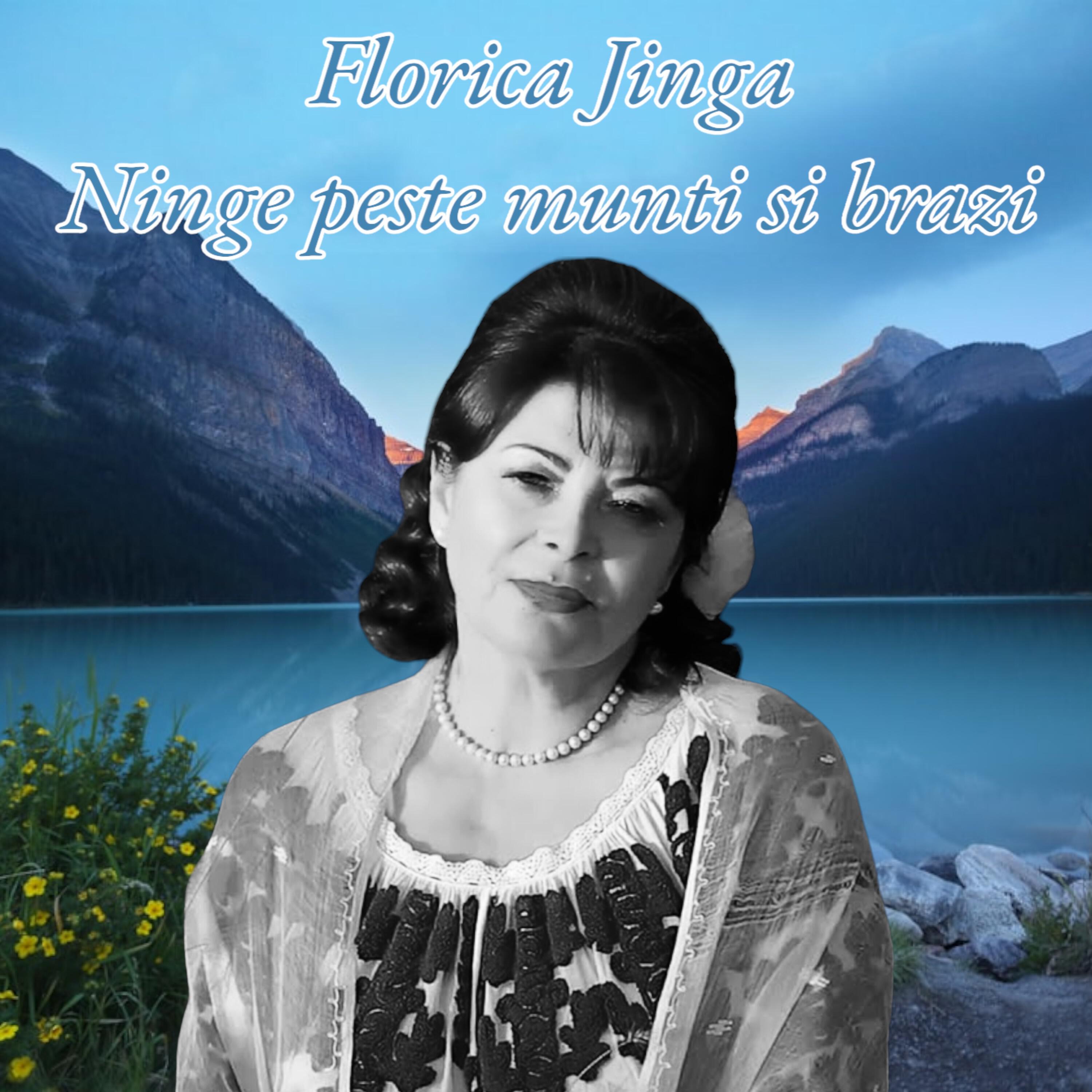 Релиз Ninge pest munti si brazi