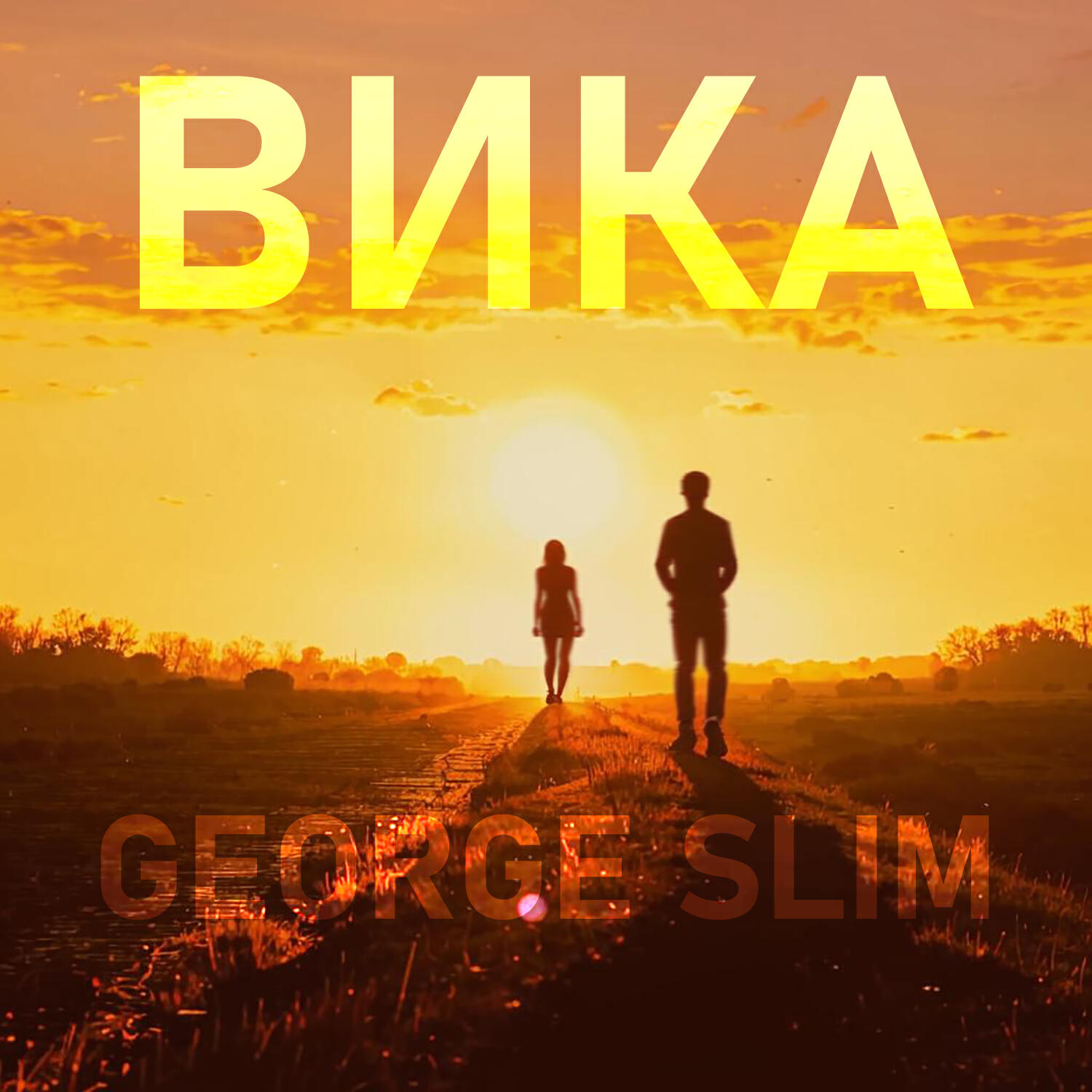 Постер альбома Вика
