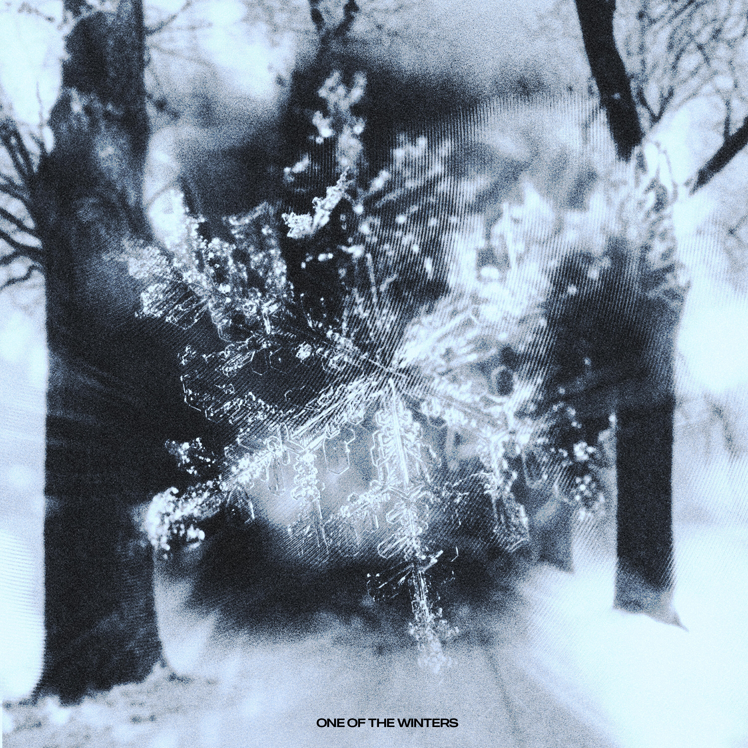Постер альбома One of the Winters