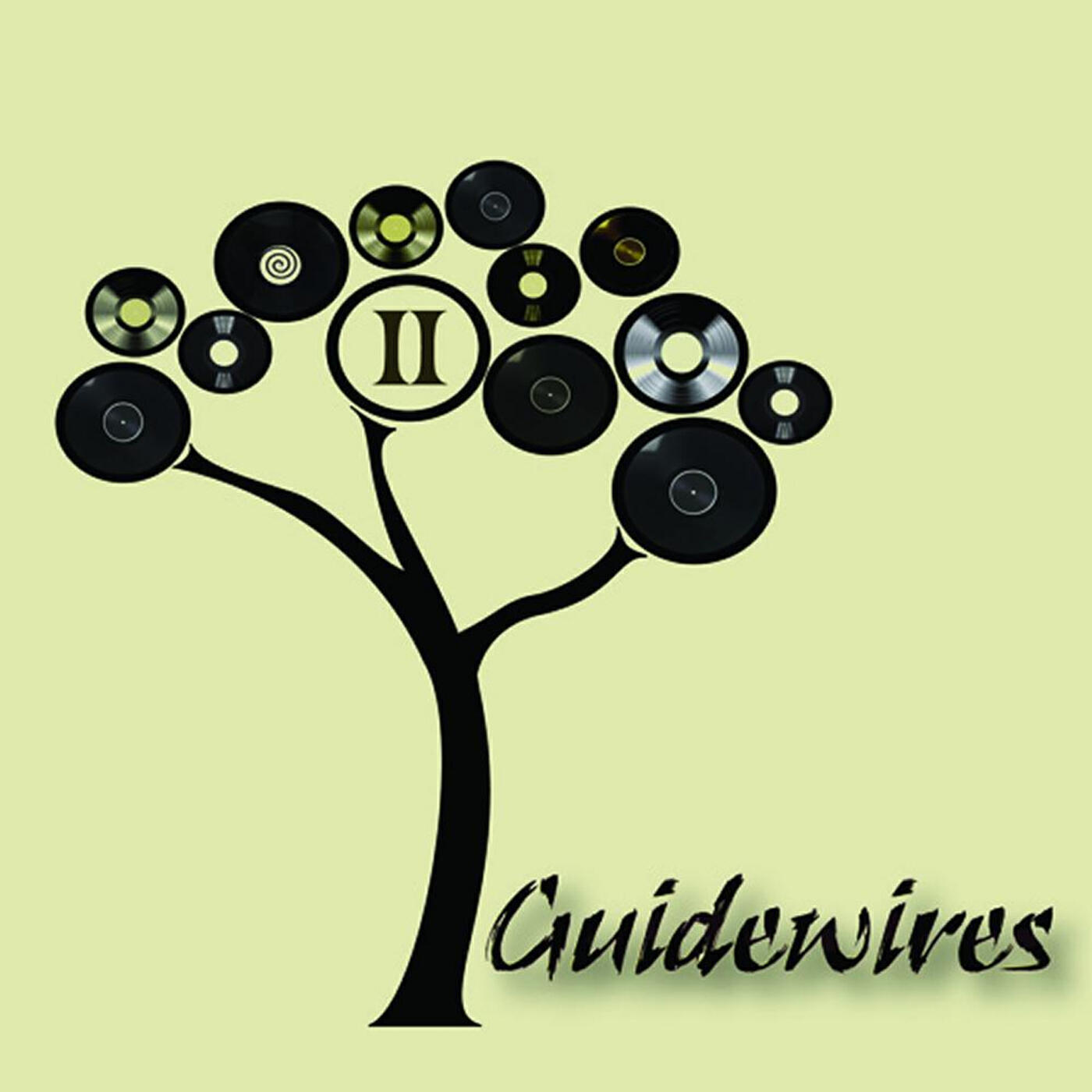 Guidewires