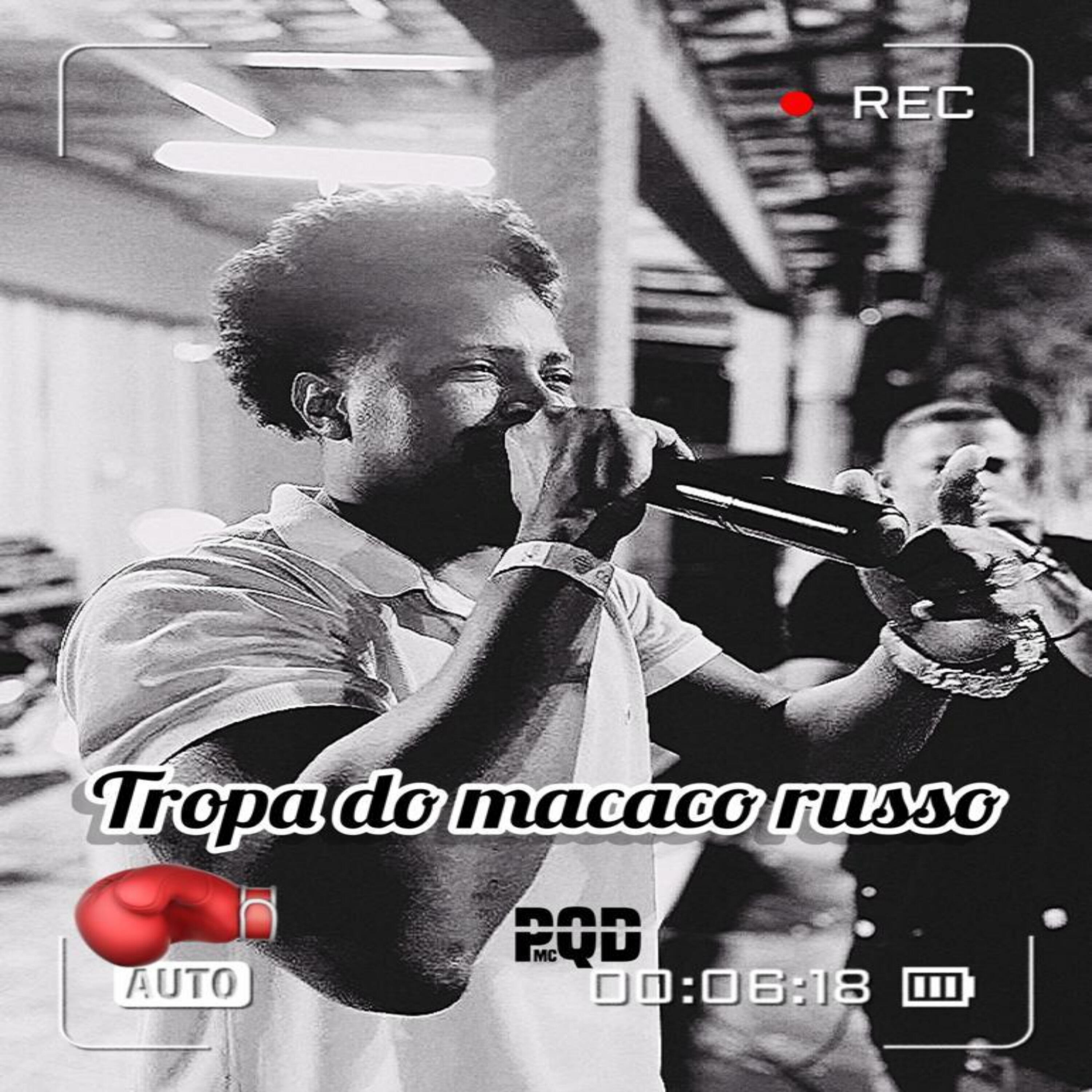 Альбом Tropa do Macaco Russo исполнителя MC PQD