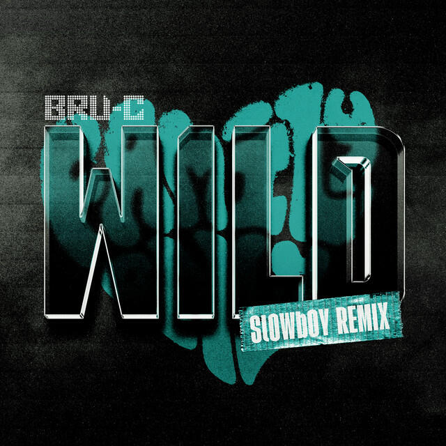 Релиз Wild (Slowboy Remix)