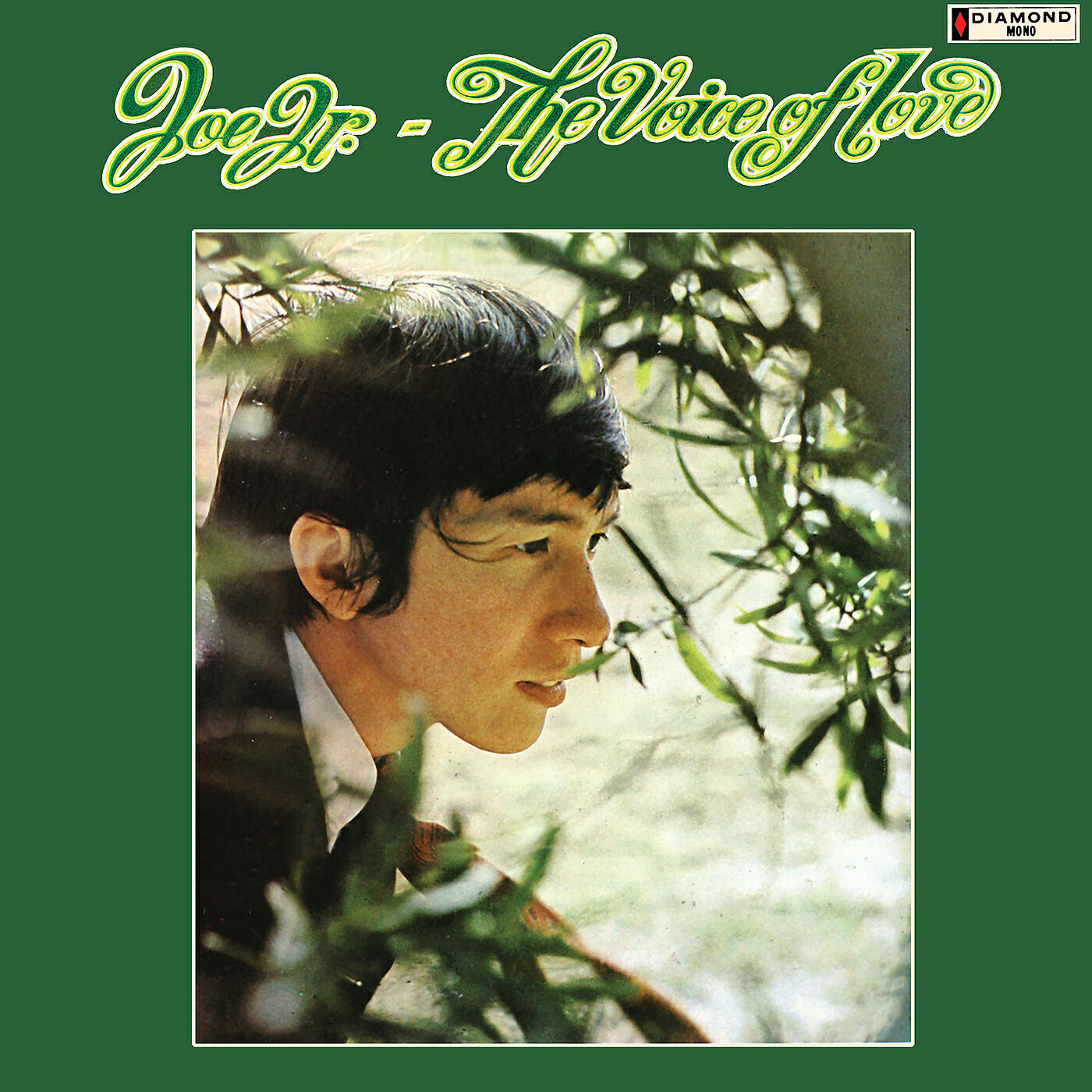 Релиз The Voice of Love