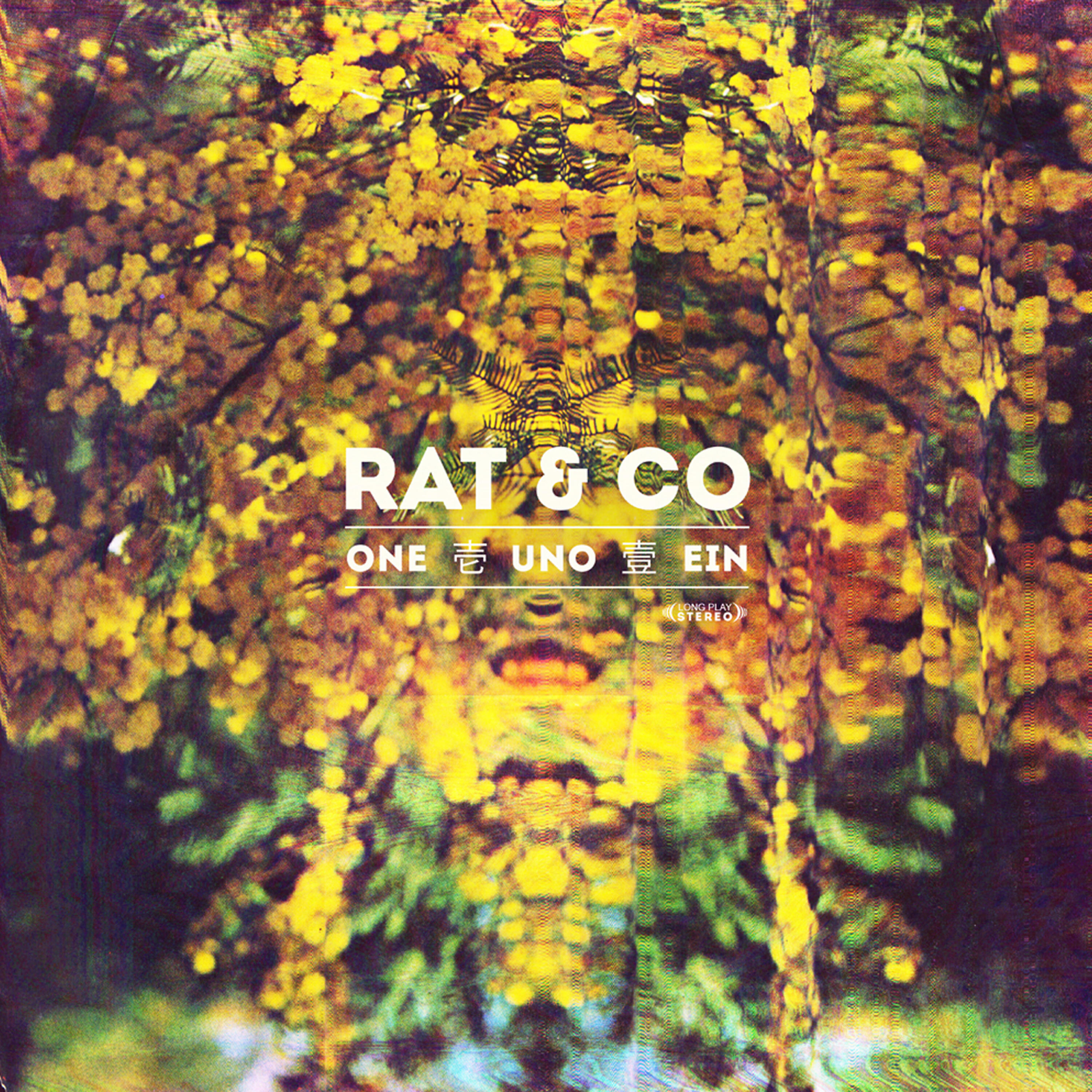 Rat & Co - Dark Jam