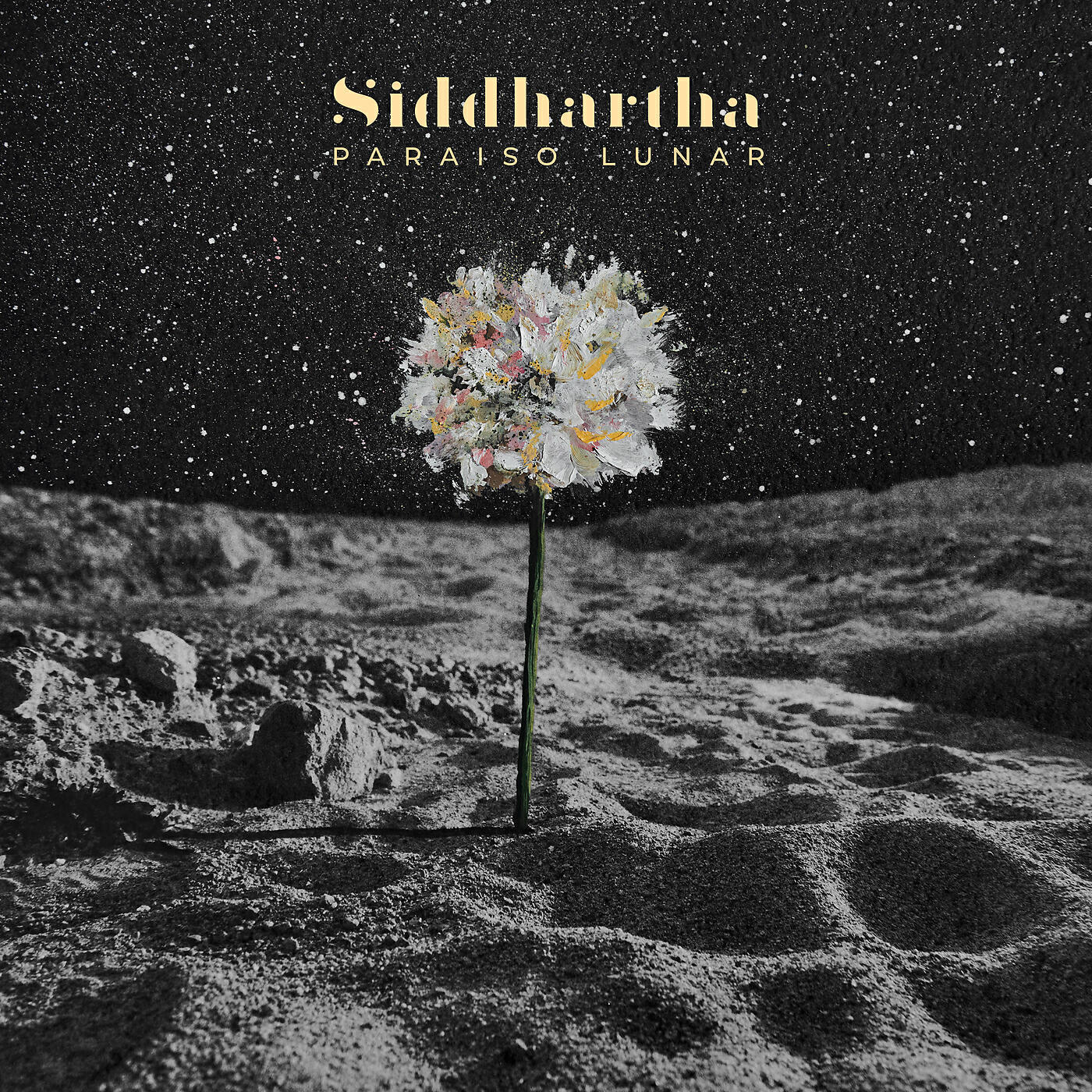 Релиз Paraíso Lunar