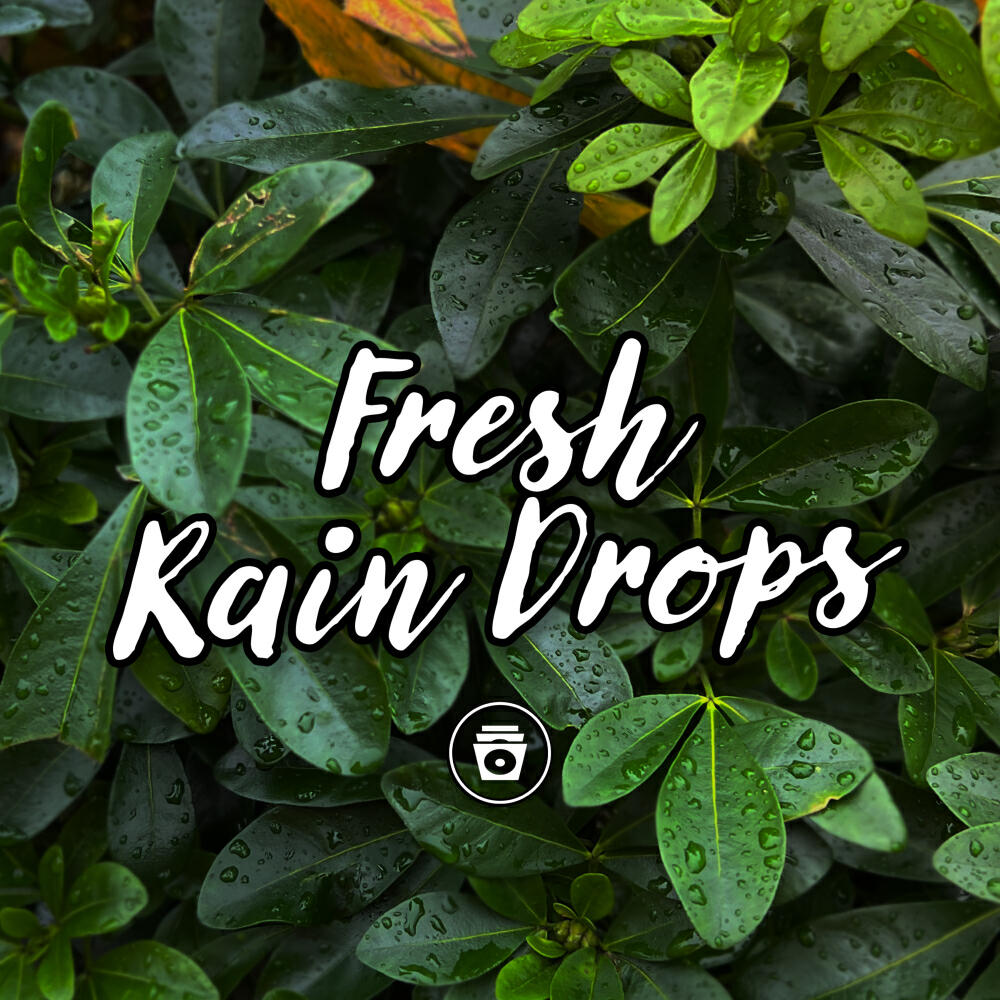 Постер альбома Fresh Rain Drops