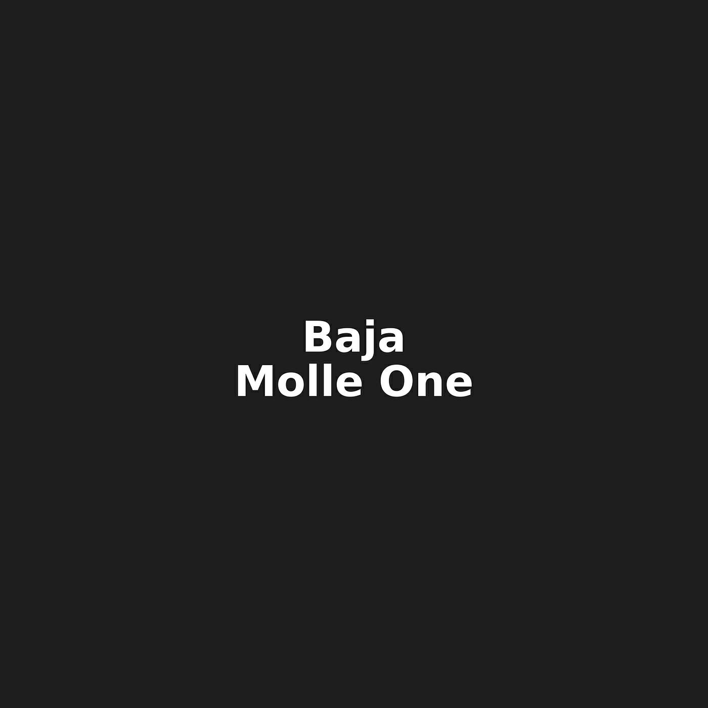 Molle One