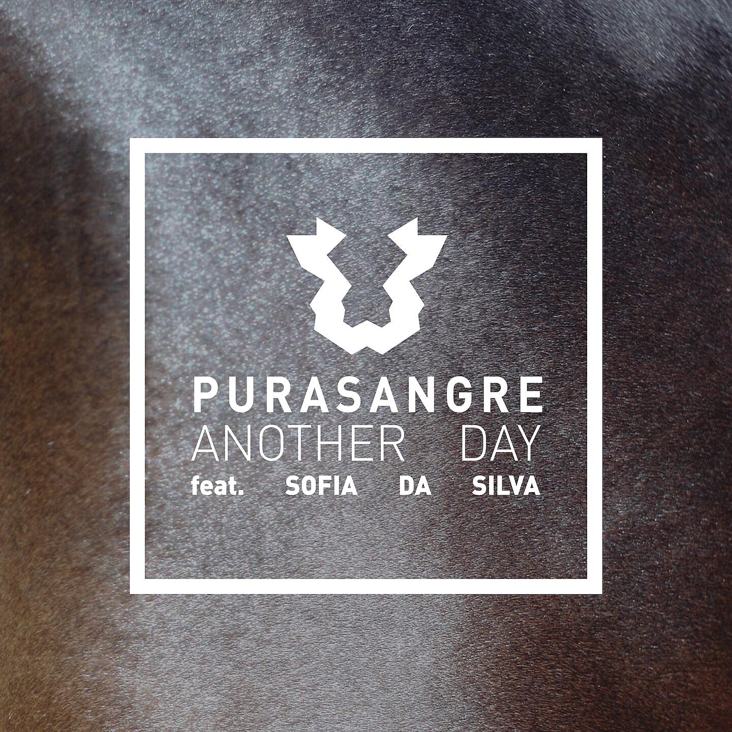 Релиз Another Day
