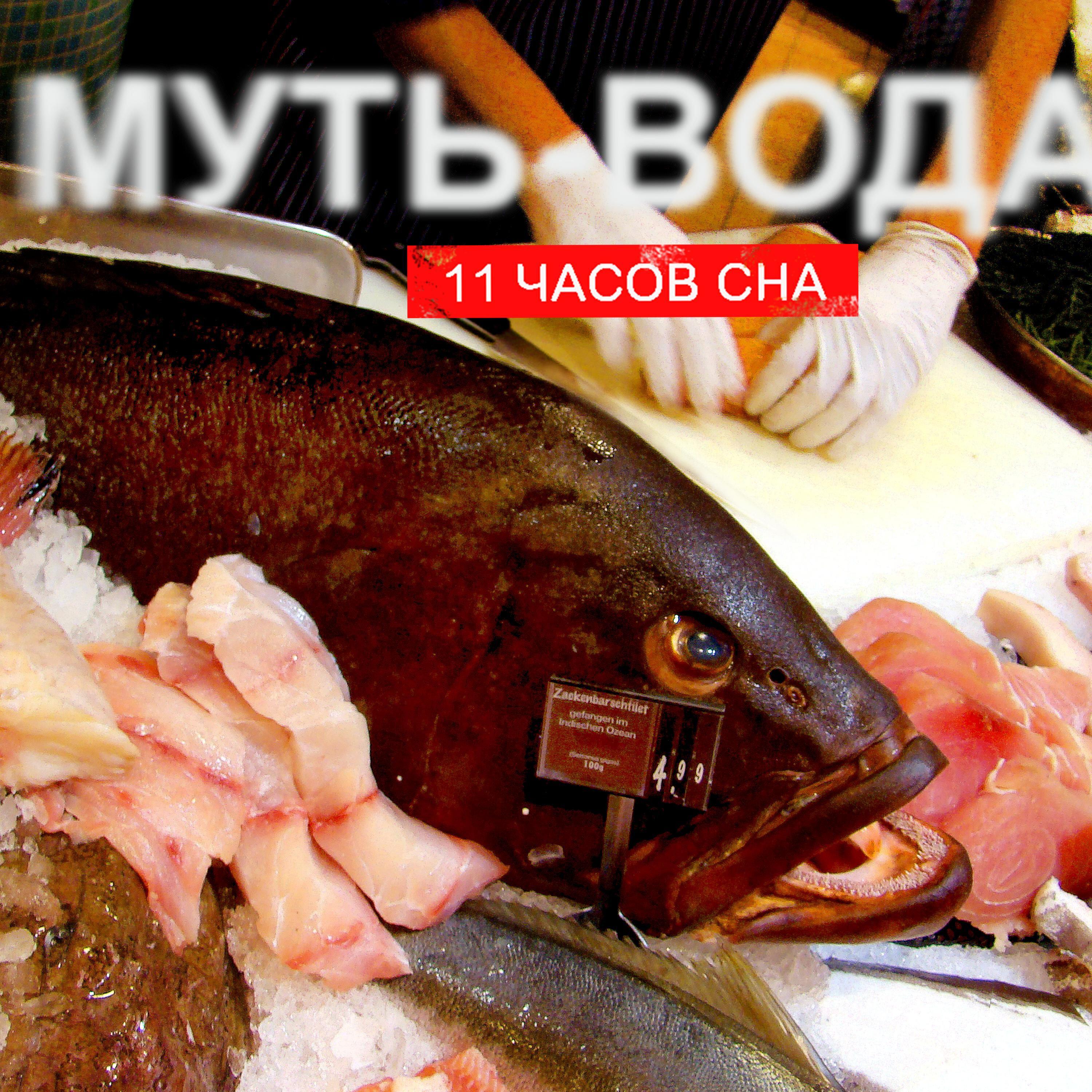 Релиз Муть-Вода