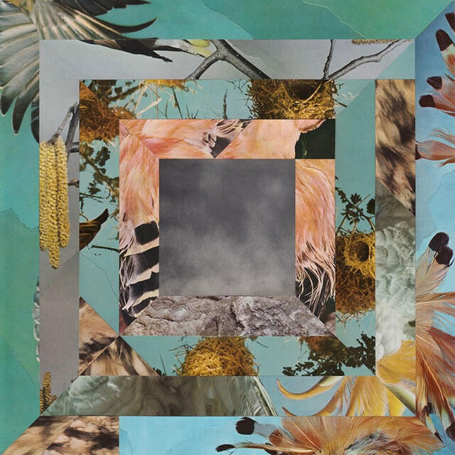 Релиз Dodo