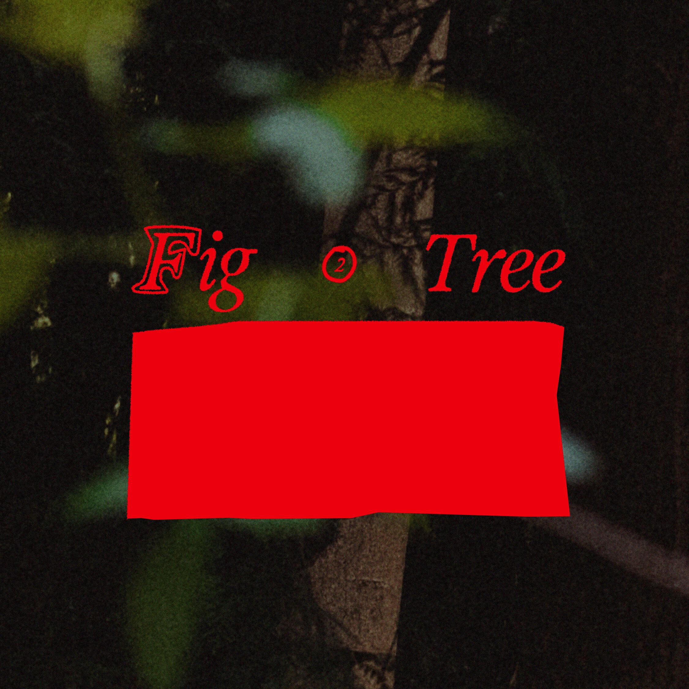 Релиз Fig Tree