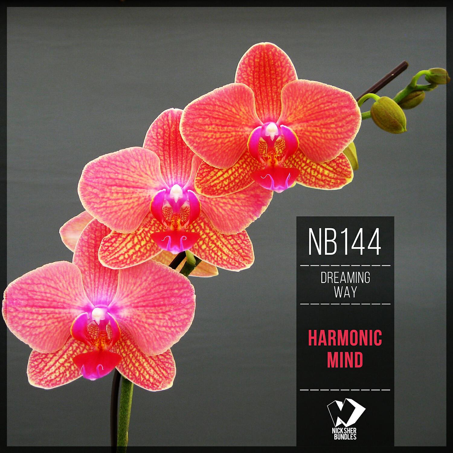 Релиз Harmonic Mind