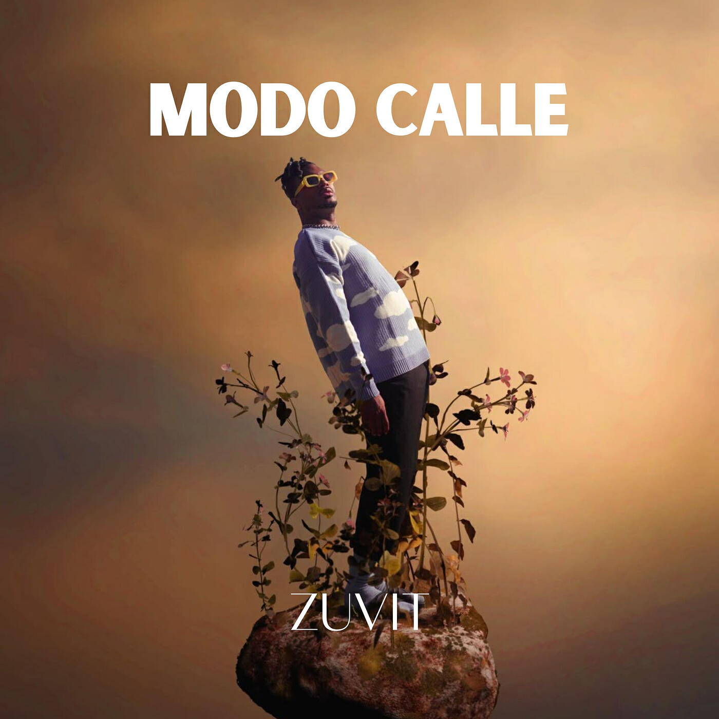 Релиз Modo Calle