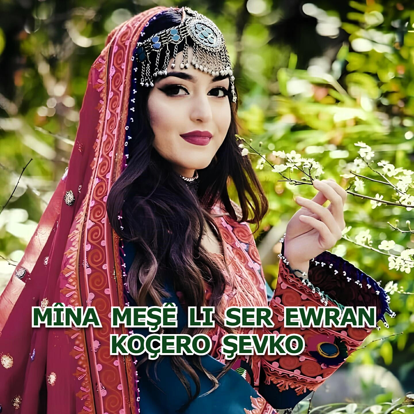 Релиз Mîna Meşê Li Ser Ewran