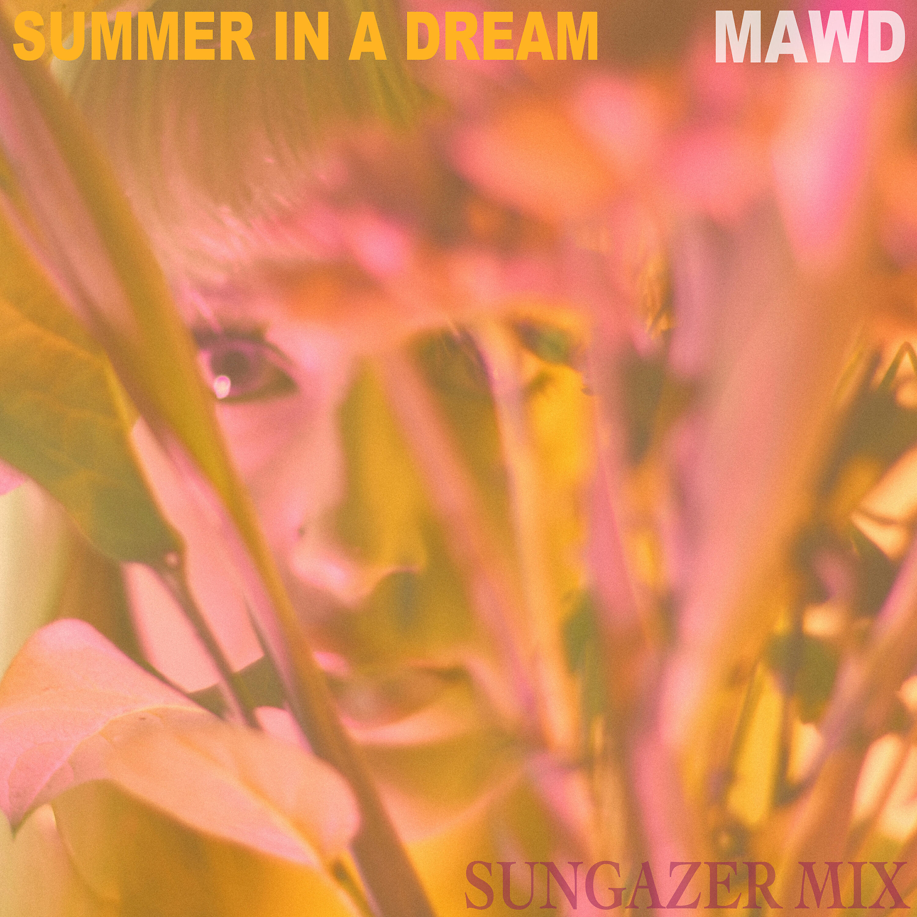 Релиз Summer in a Dream
