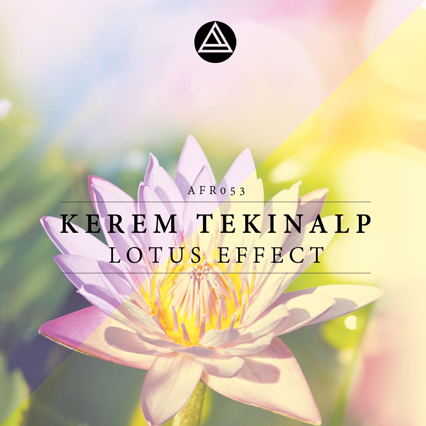 Релиз Lotus Effect