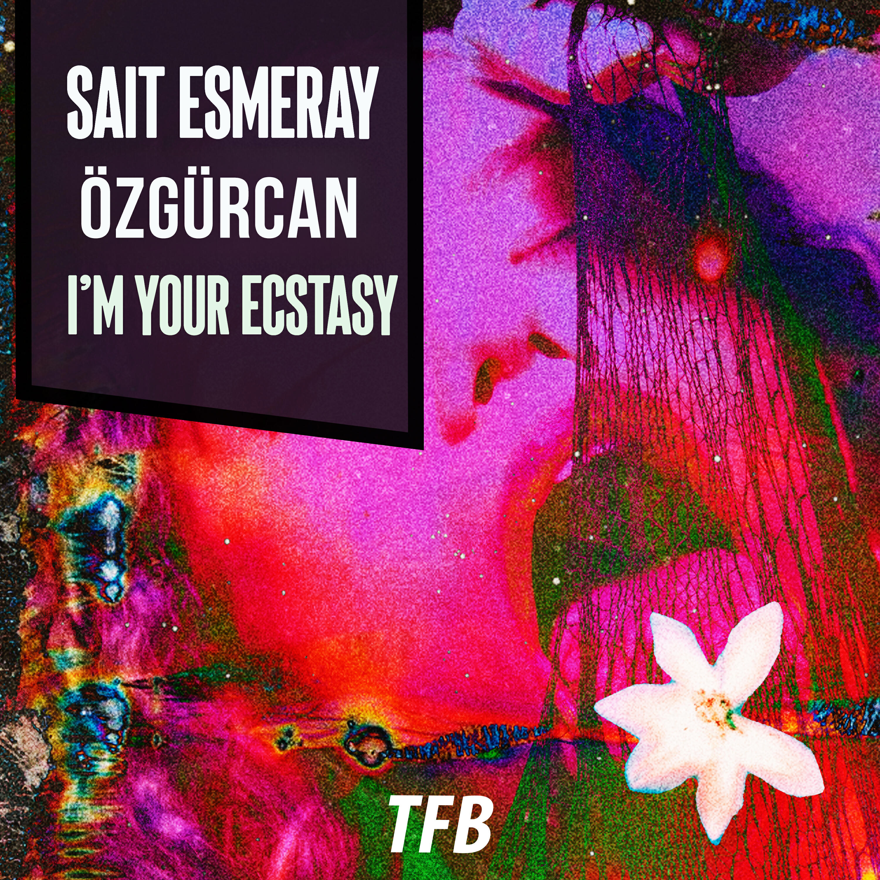Релиз I'm Your Ecstasy